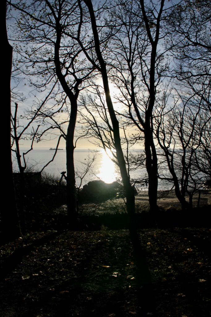 Forth through the trees