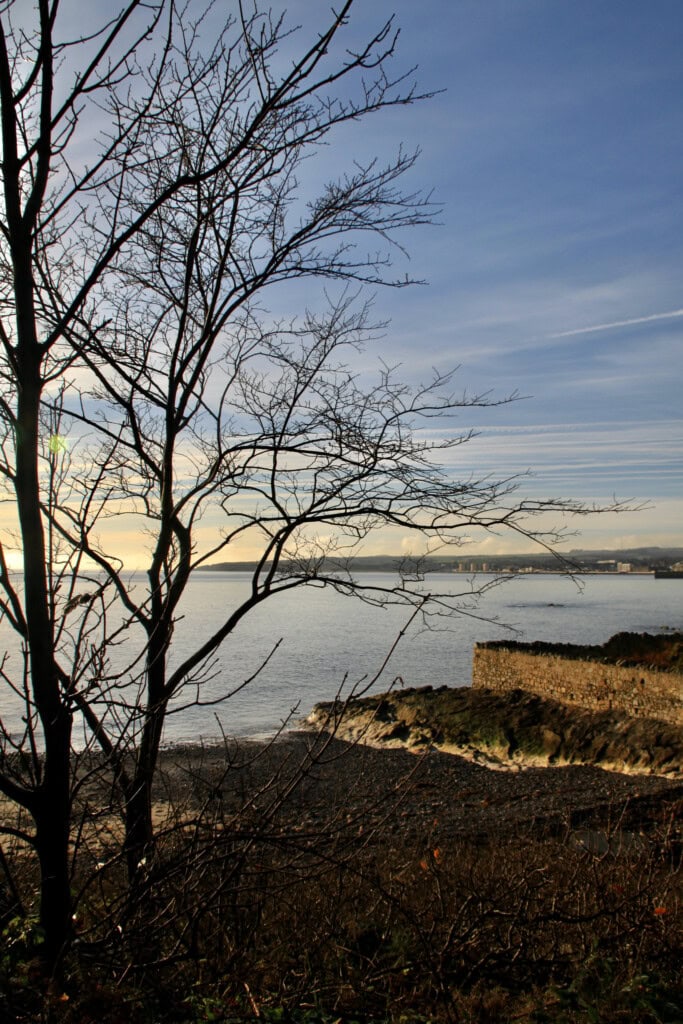 Kirkcaldy through the trees