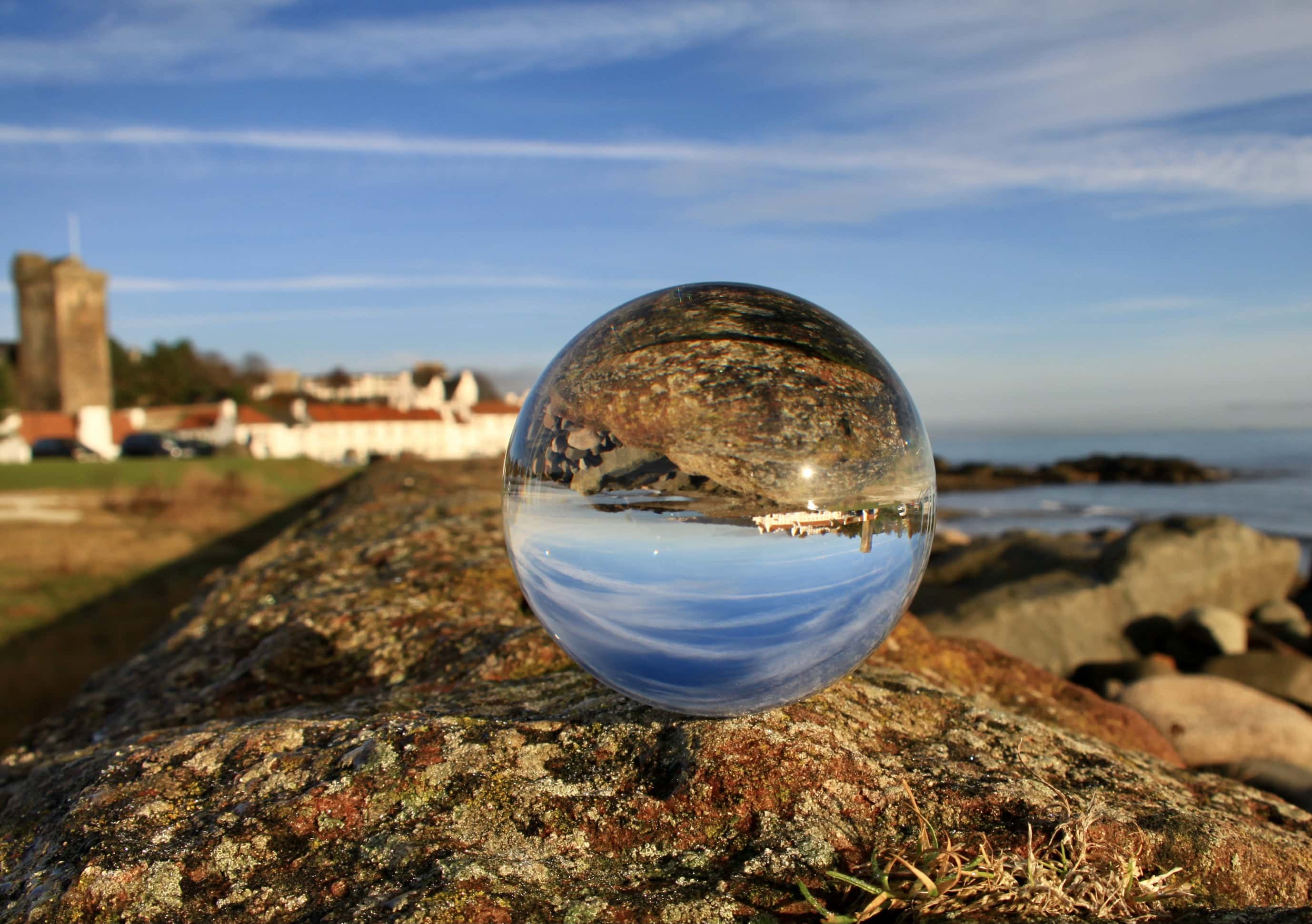Wordless Wednesday Dec 21