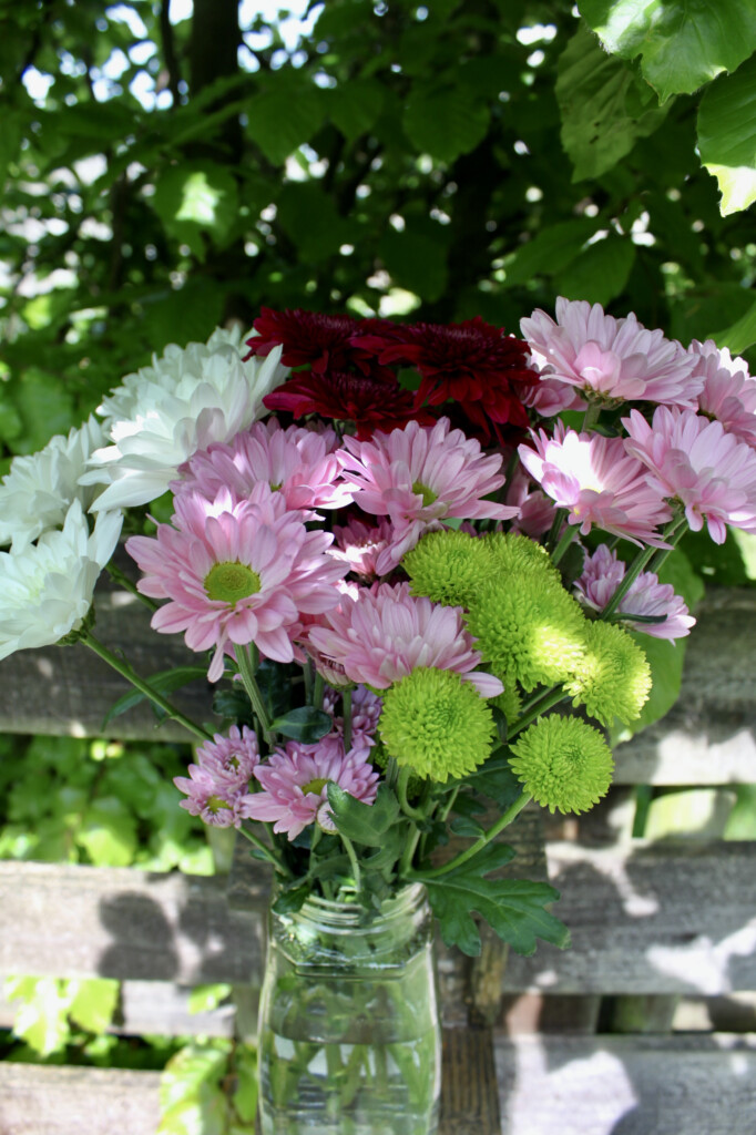 Chrysanthemums