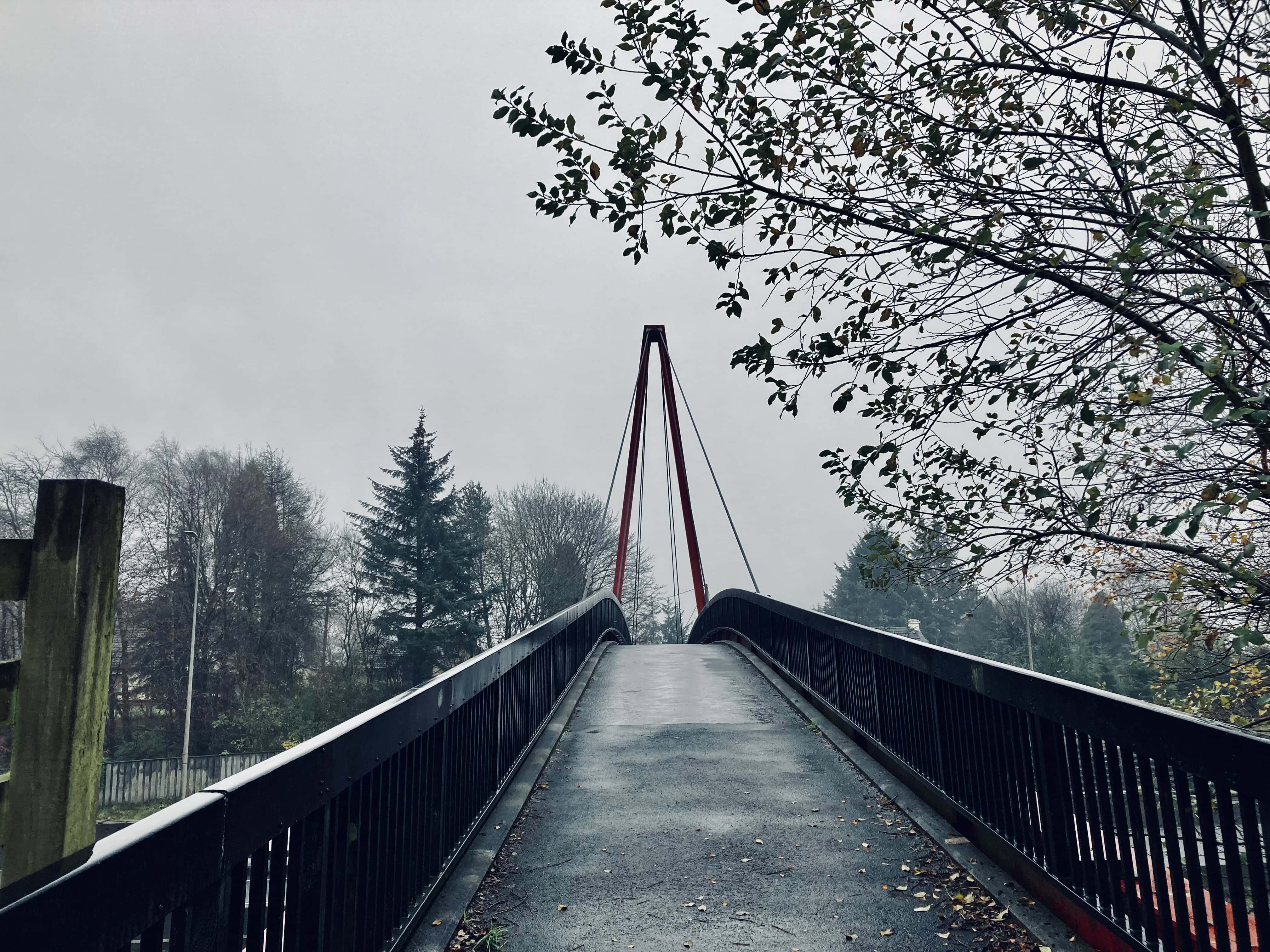 Which Way Photo Challenge — Jan 27