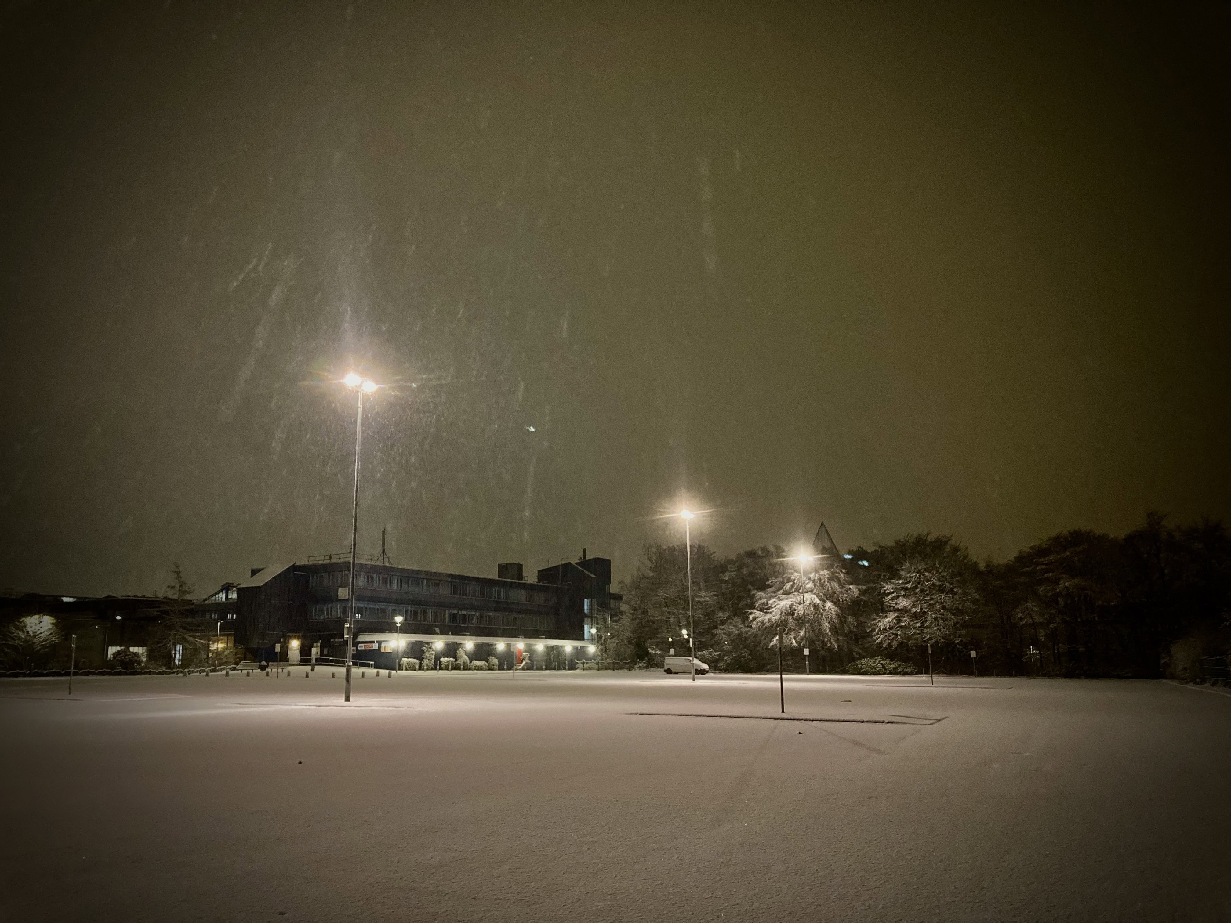 A Snowy Walk to Work — Cellpic Sunday