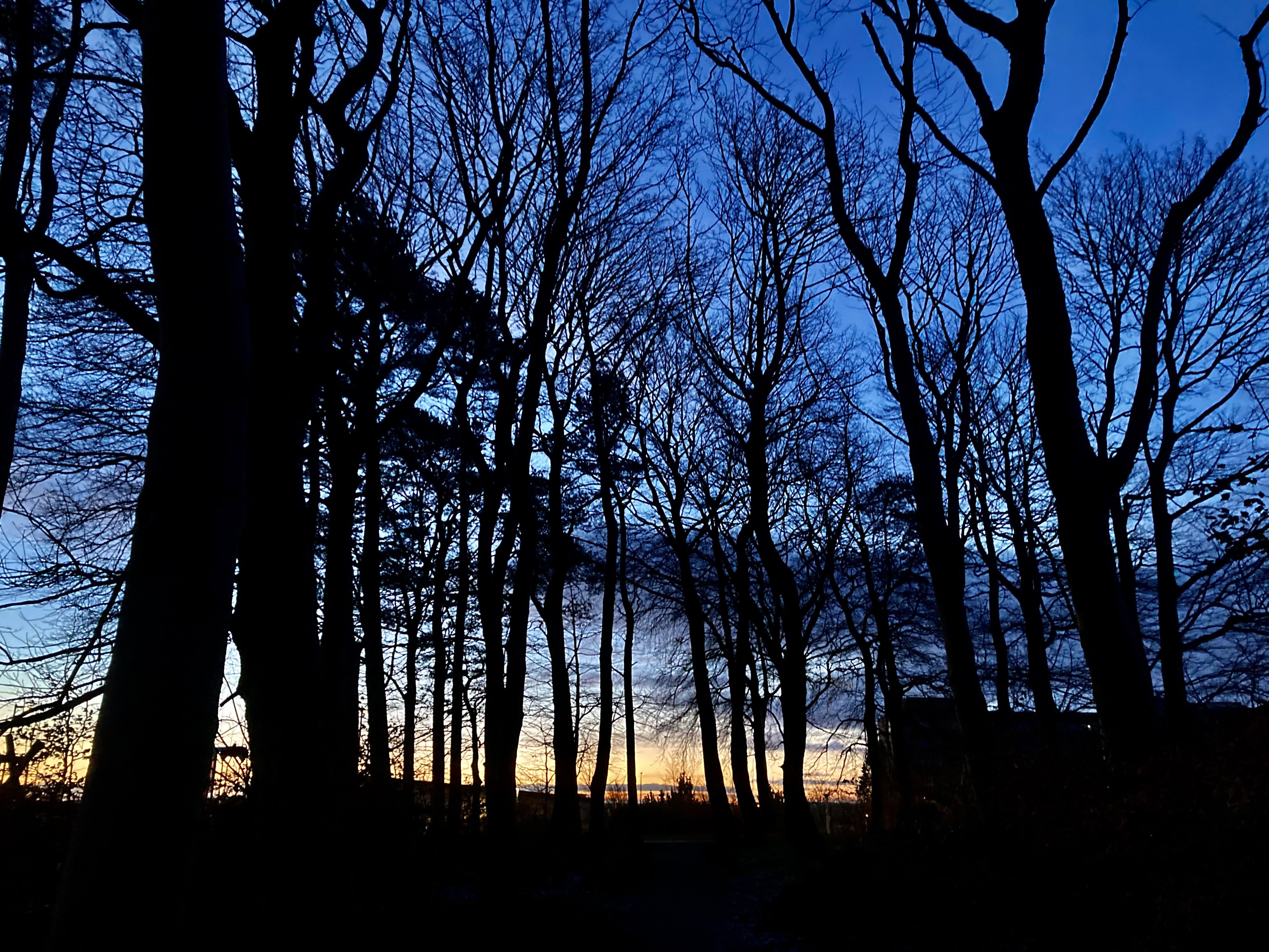 First Glow of an Icy Dawn