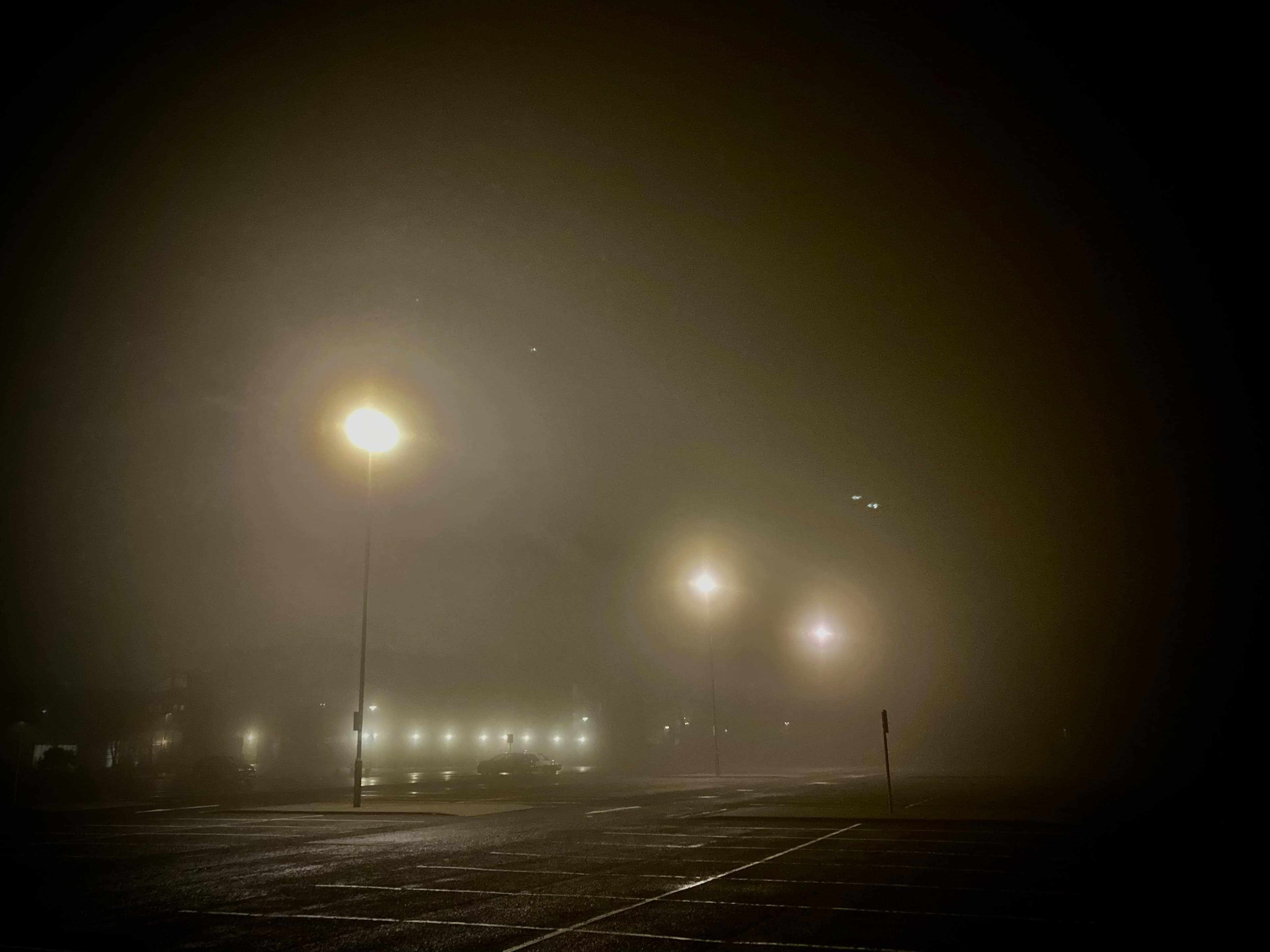 Lights in the Fog — Thursday Trios