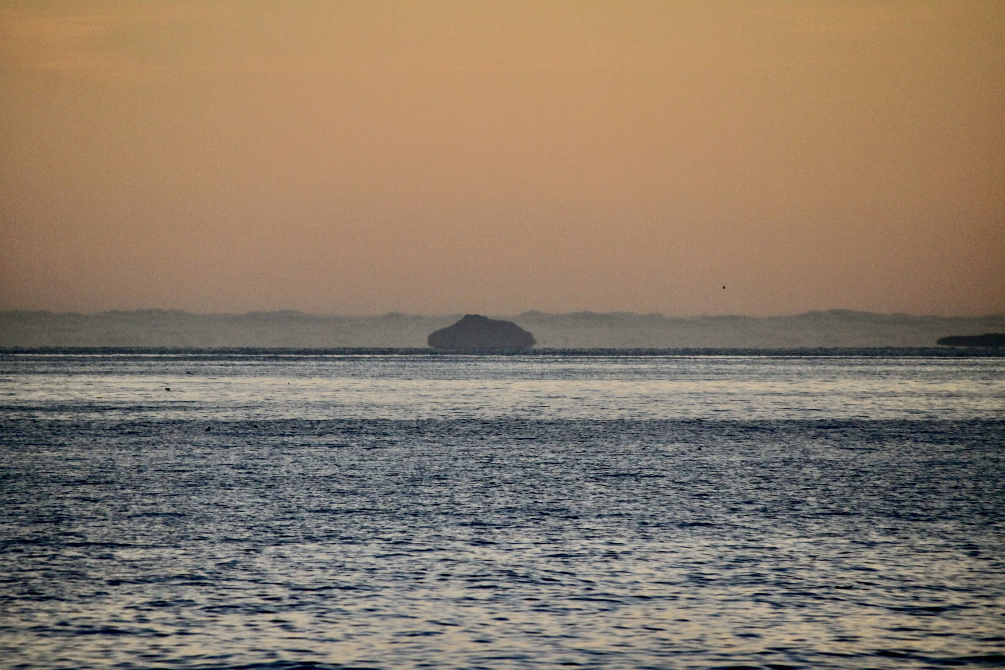 In the Distance — Water Water Everywhere #167