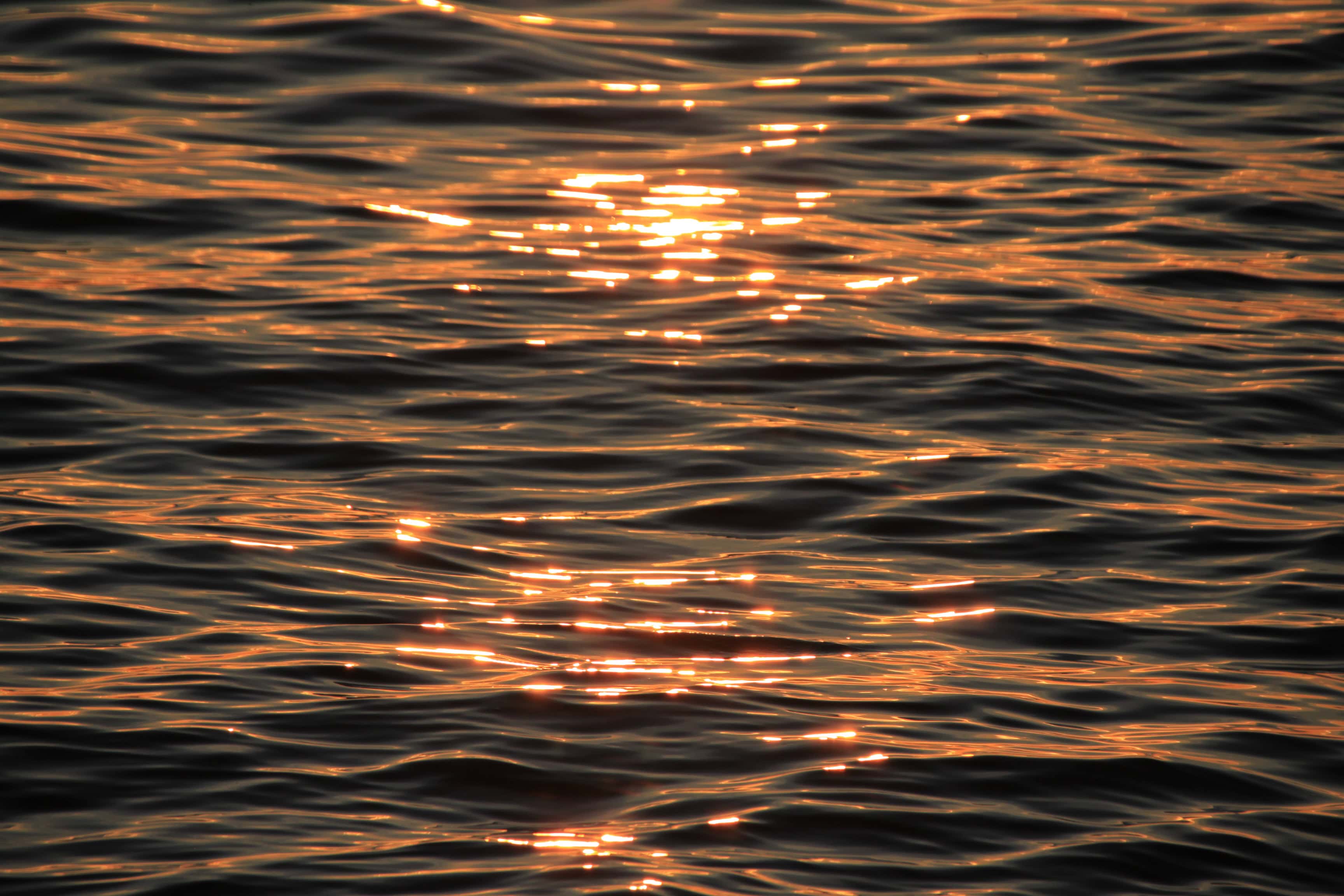 Sunrise Ripples — Water Water Everywhere #162