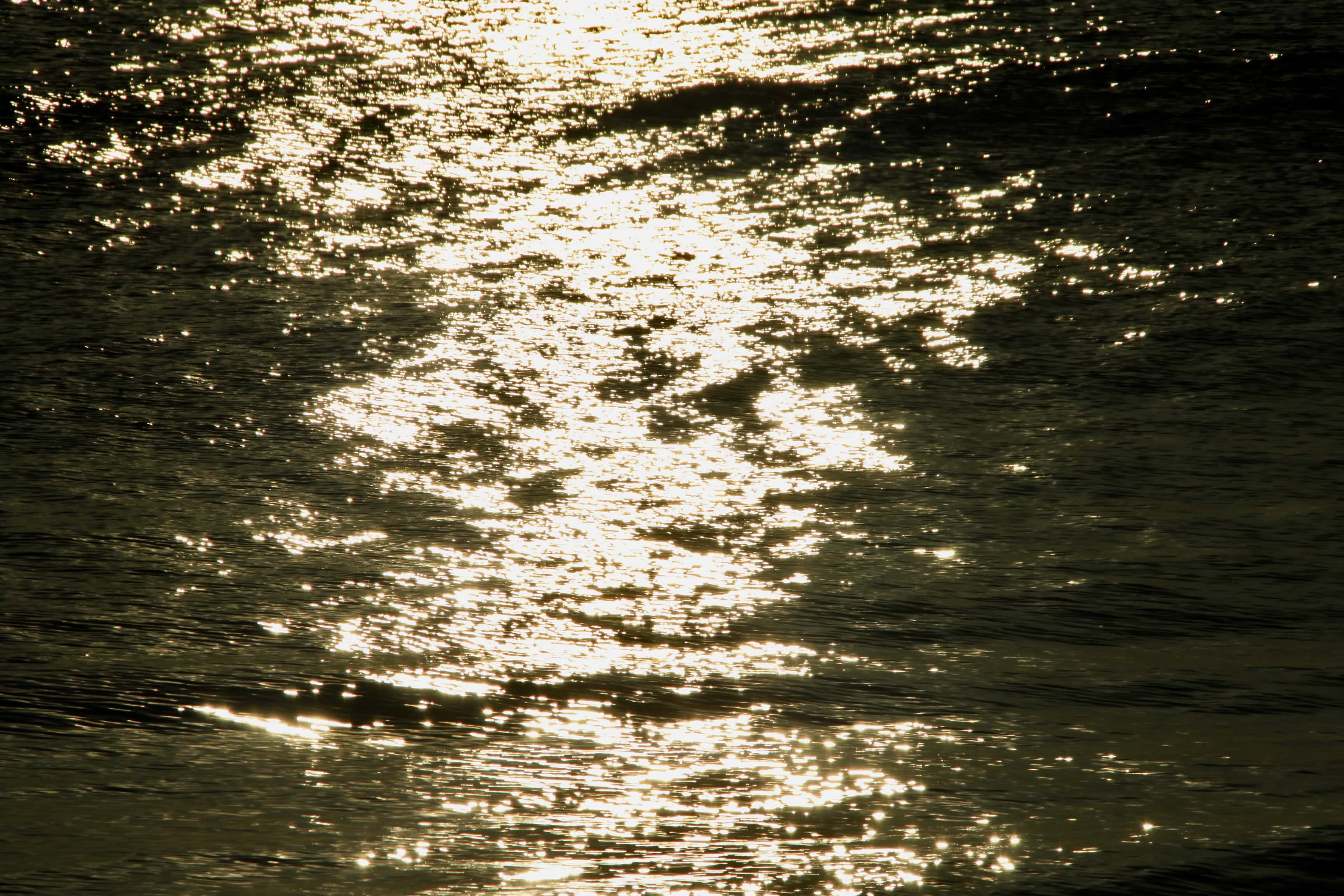 Rippled Sunshine — Water Water Everywhere #163