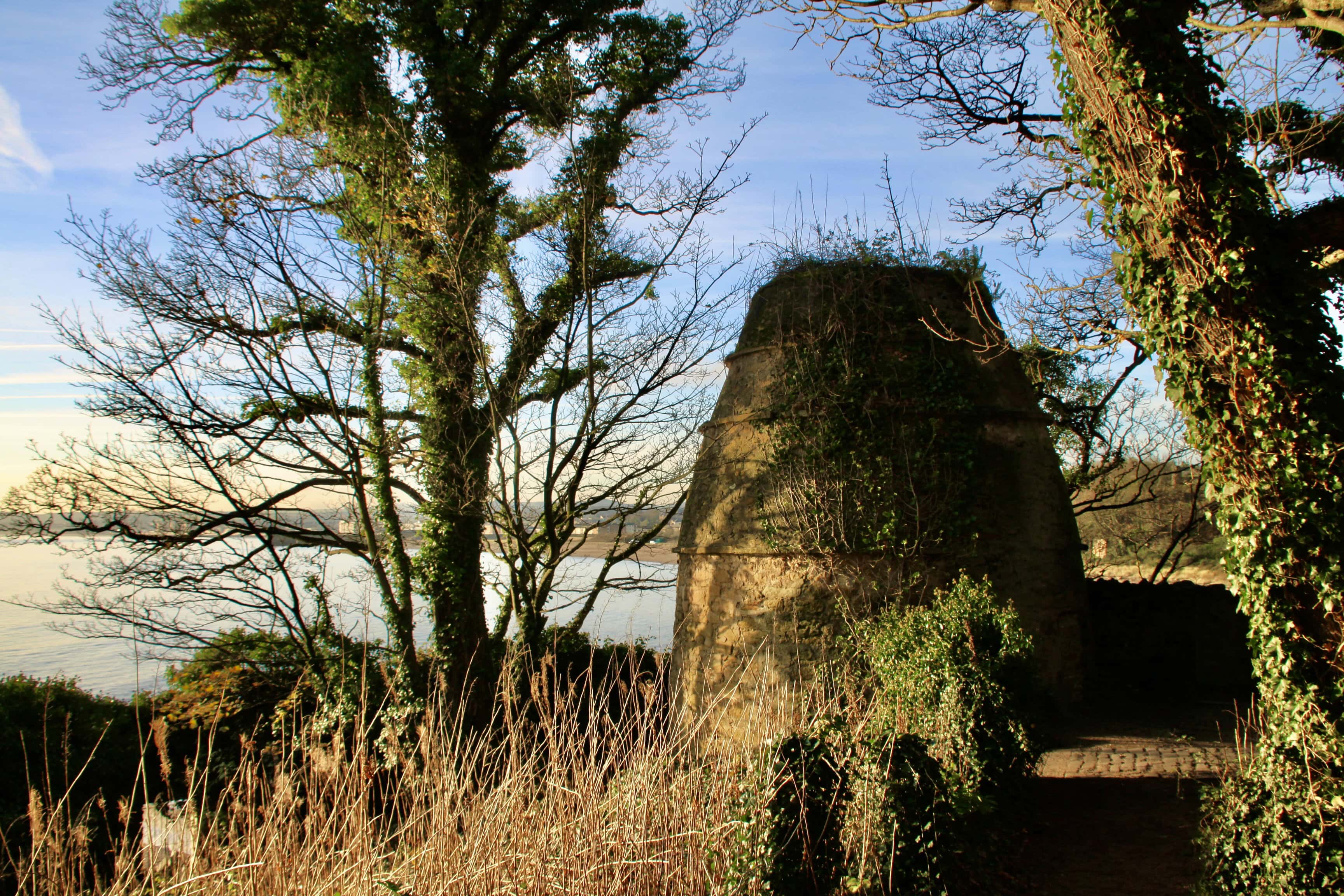 Old Doocot — Fan Of… #191