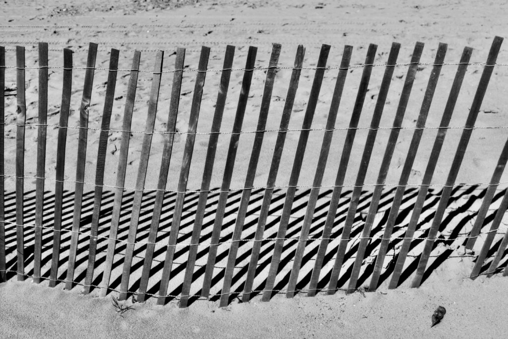 Beach Fence