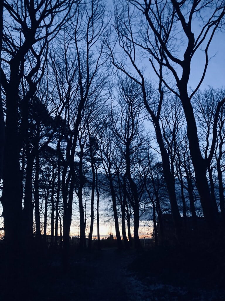 A cold dawn