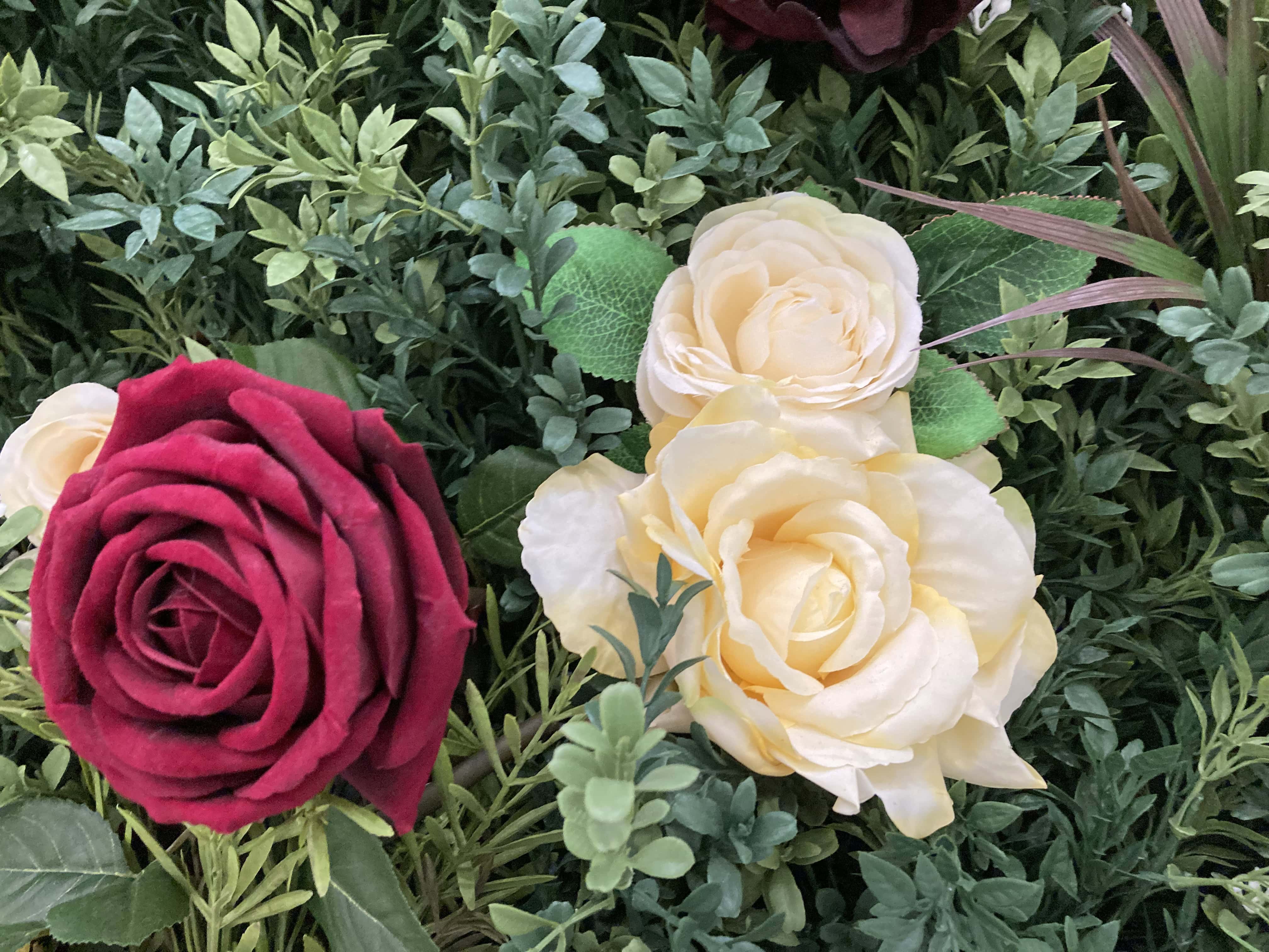 Fake Roses — FOTD Mar 02