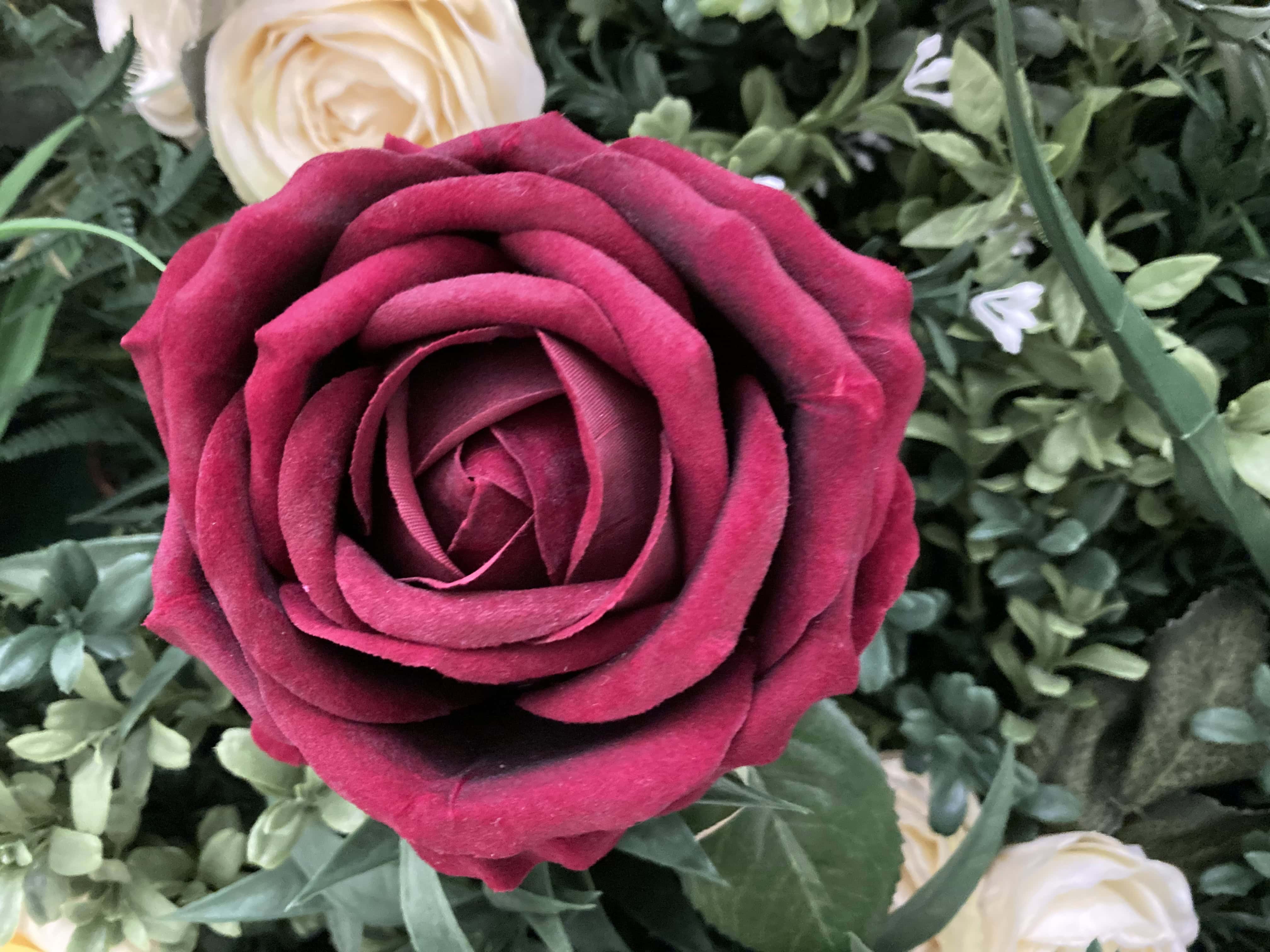 Fake Roses — FOTD Mar 04