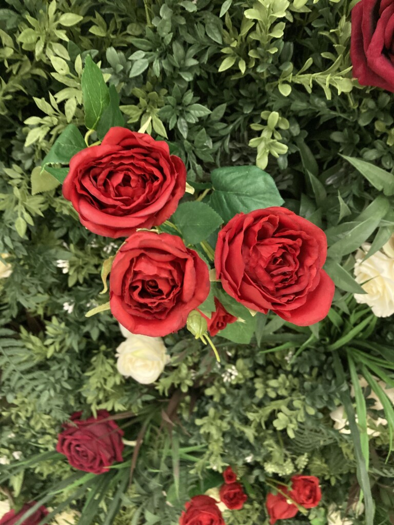 Fake roses