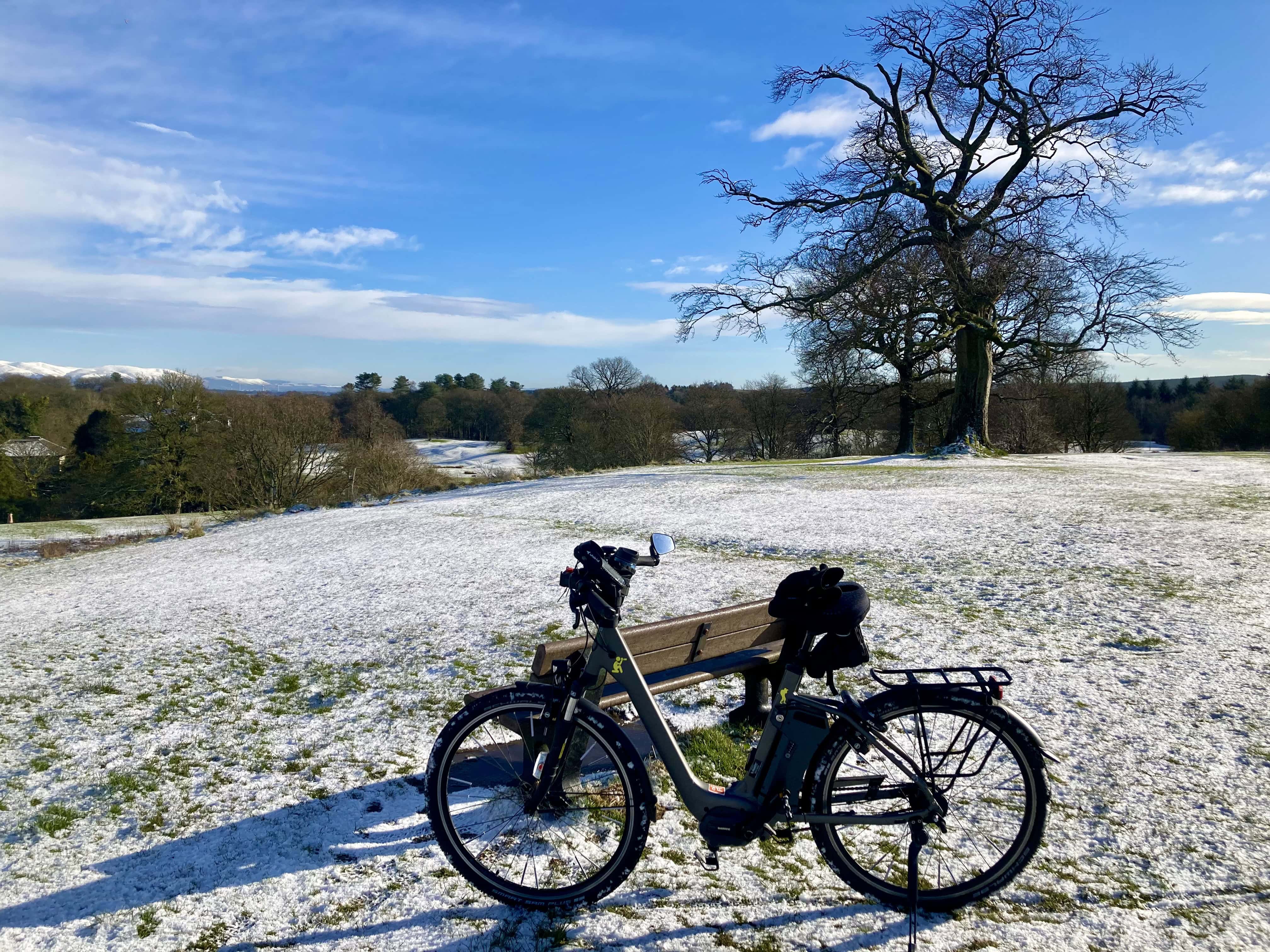 A Ride to the Park — Fan Of… #198