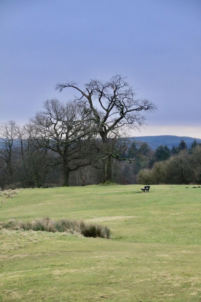 Cumbernauld House Park