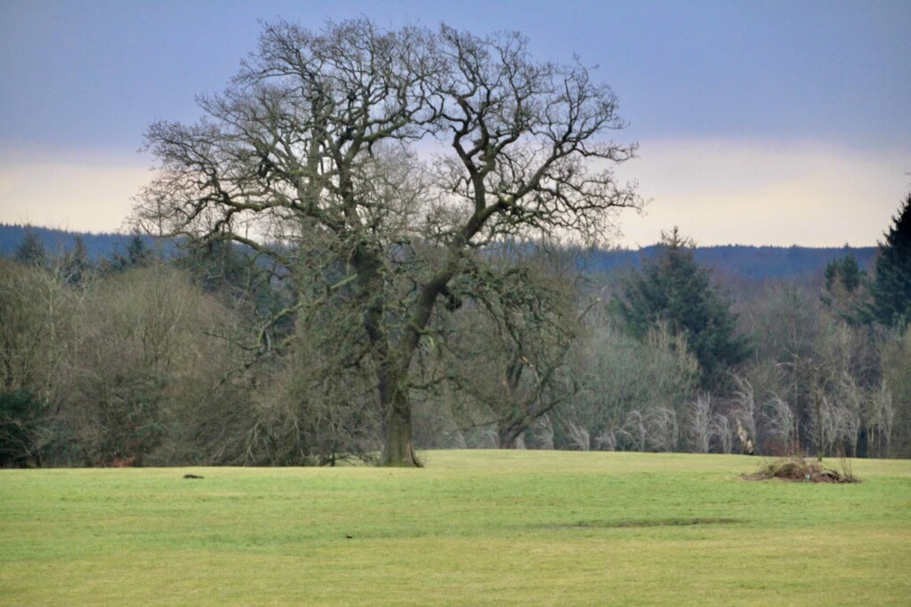Cumbernauld House Park