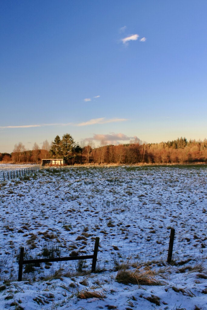 Palacerigg Country Park