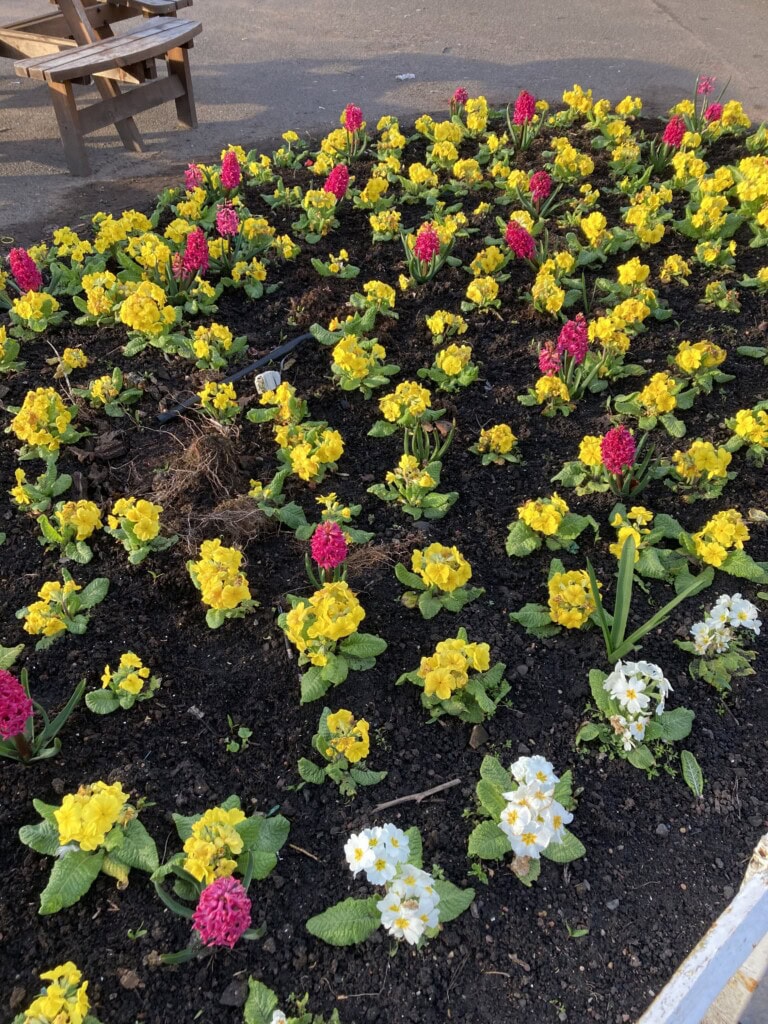 Colourful flower bed in Princes Street Gardens