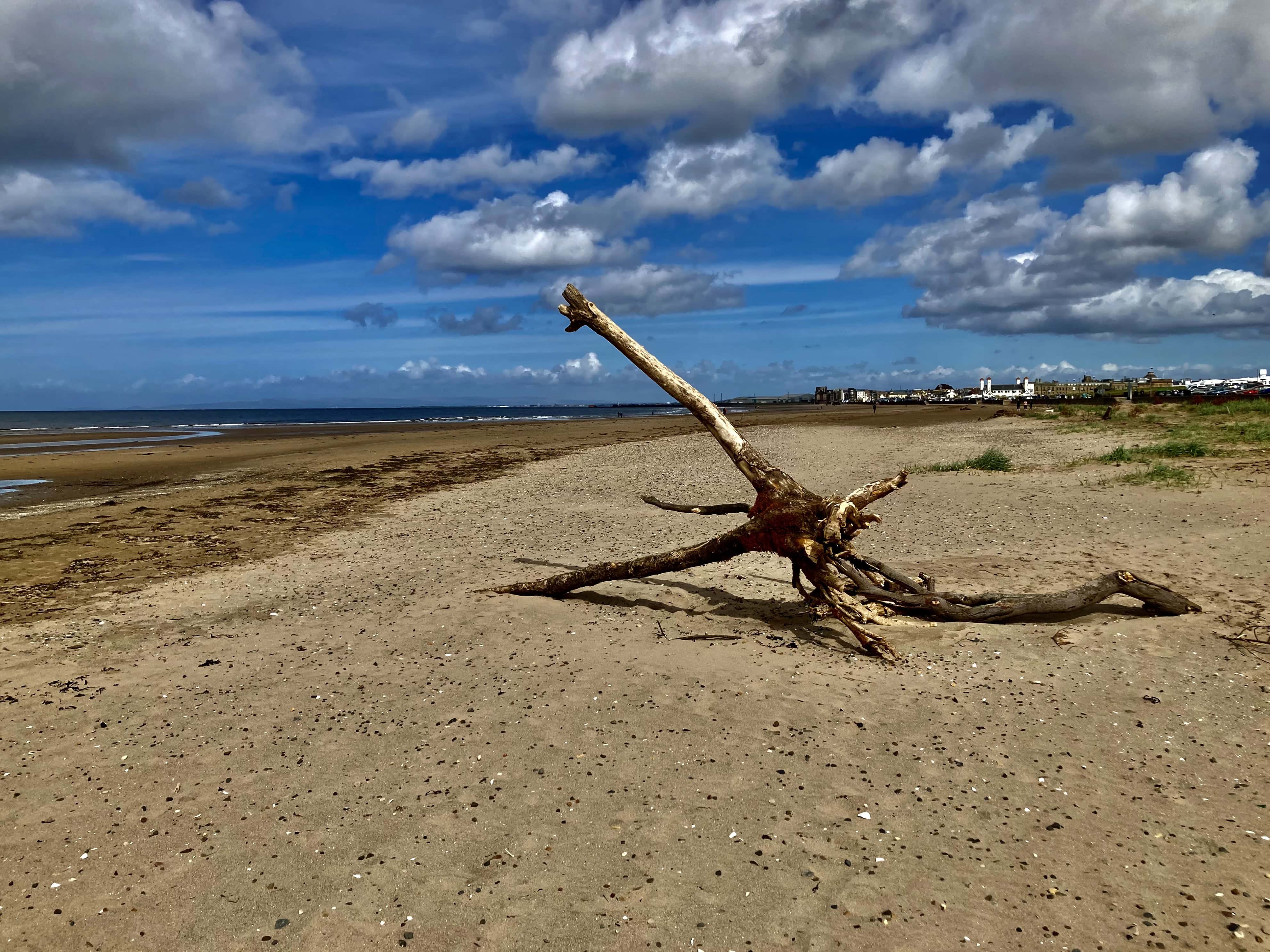 Wordless Wednesday Apr 12