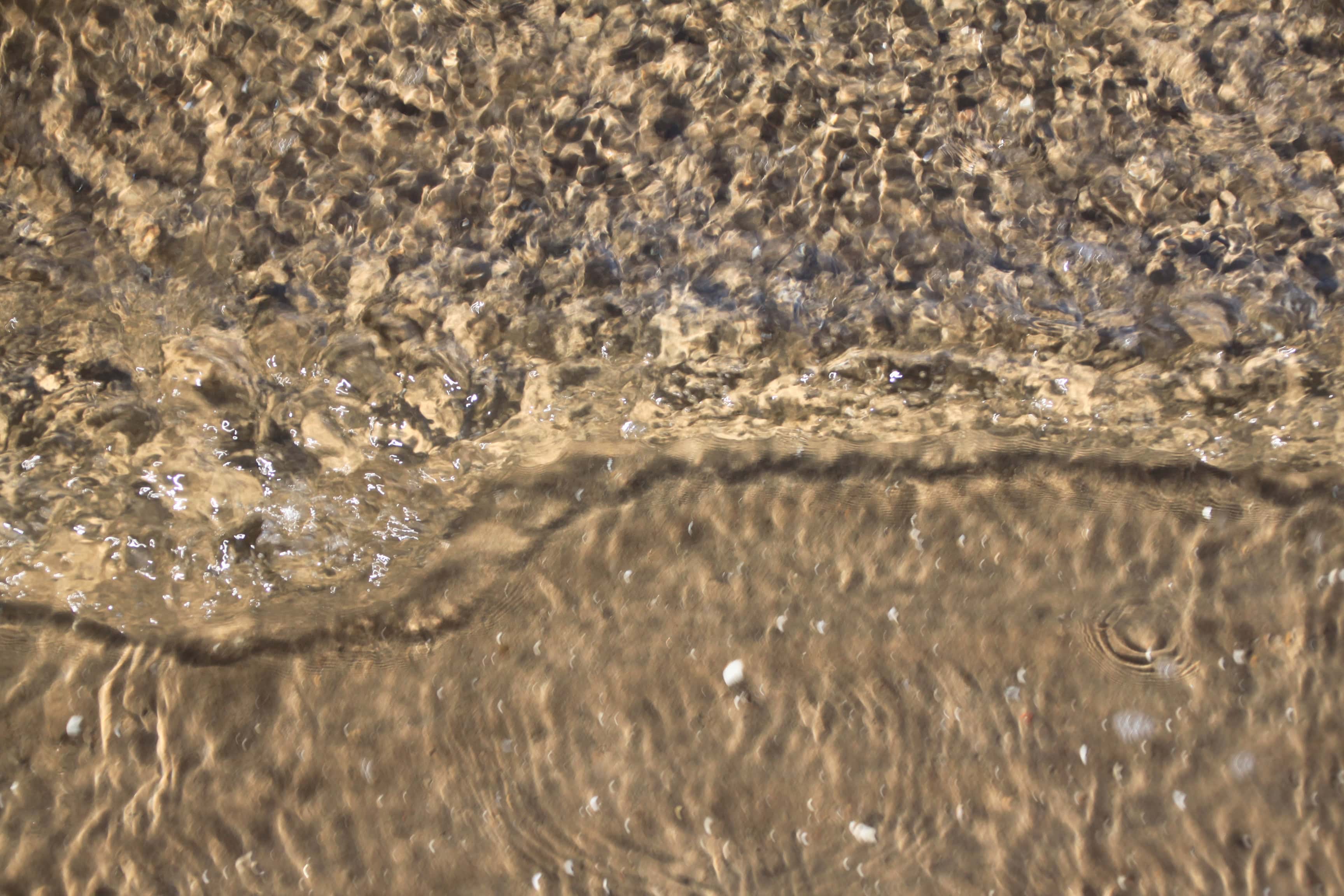 Beach Ripples #1 — Water Water Everywhere #180