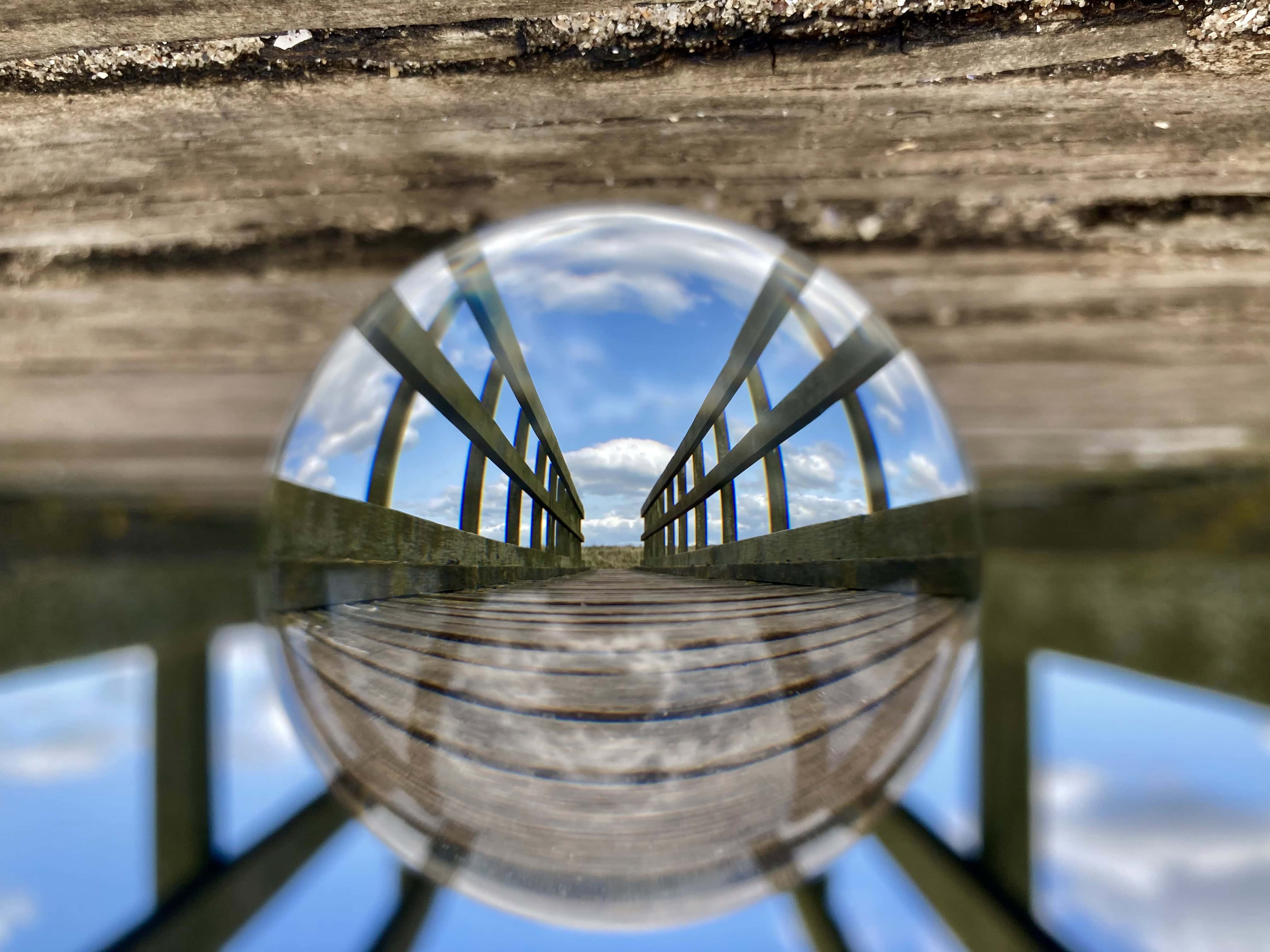 Lensy on a Footbridge — Fan Of… #213