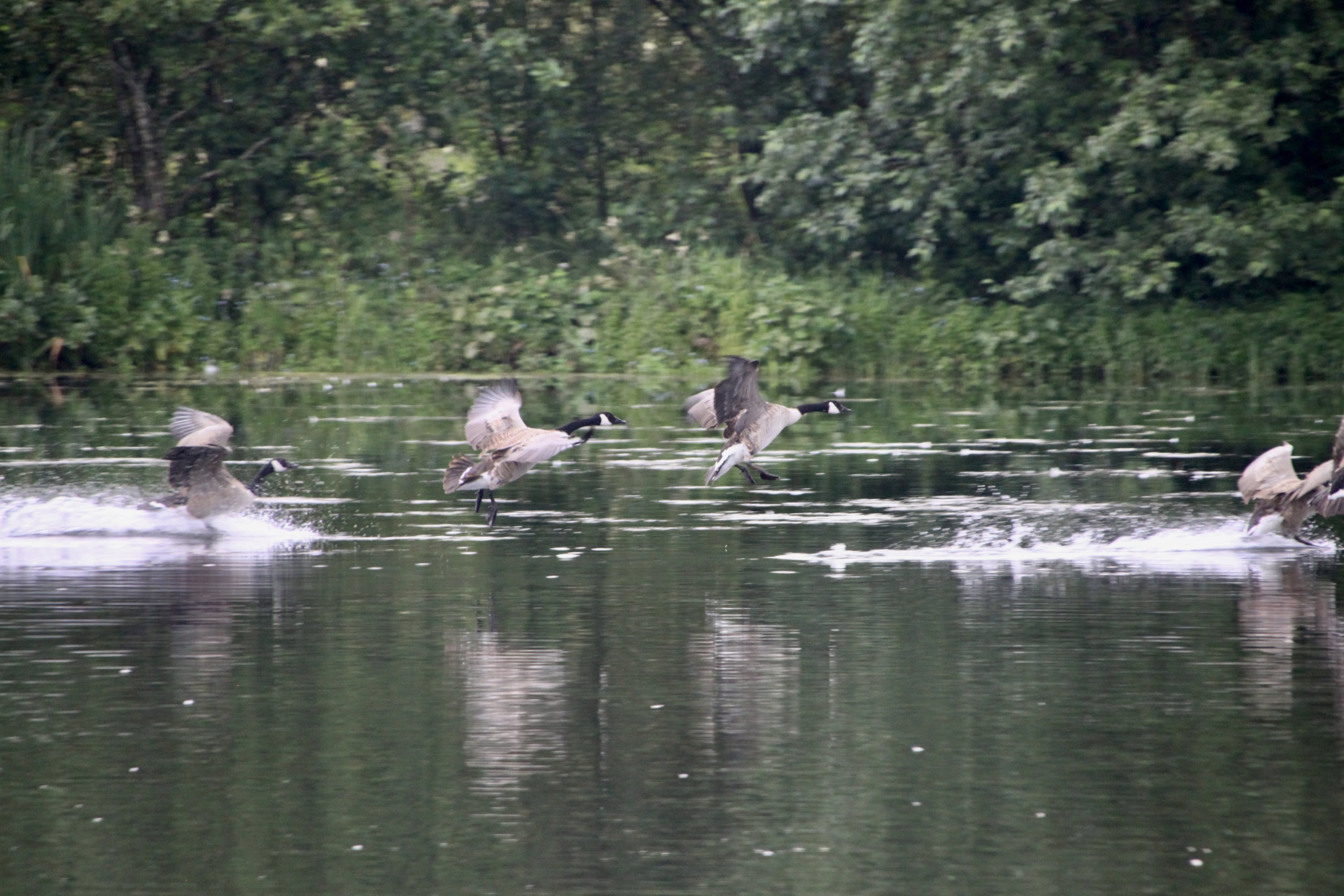 …Neither Is Coming In To Land