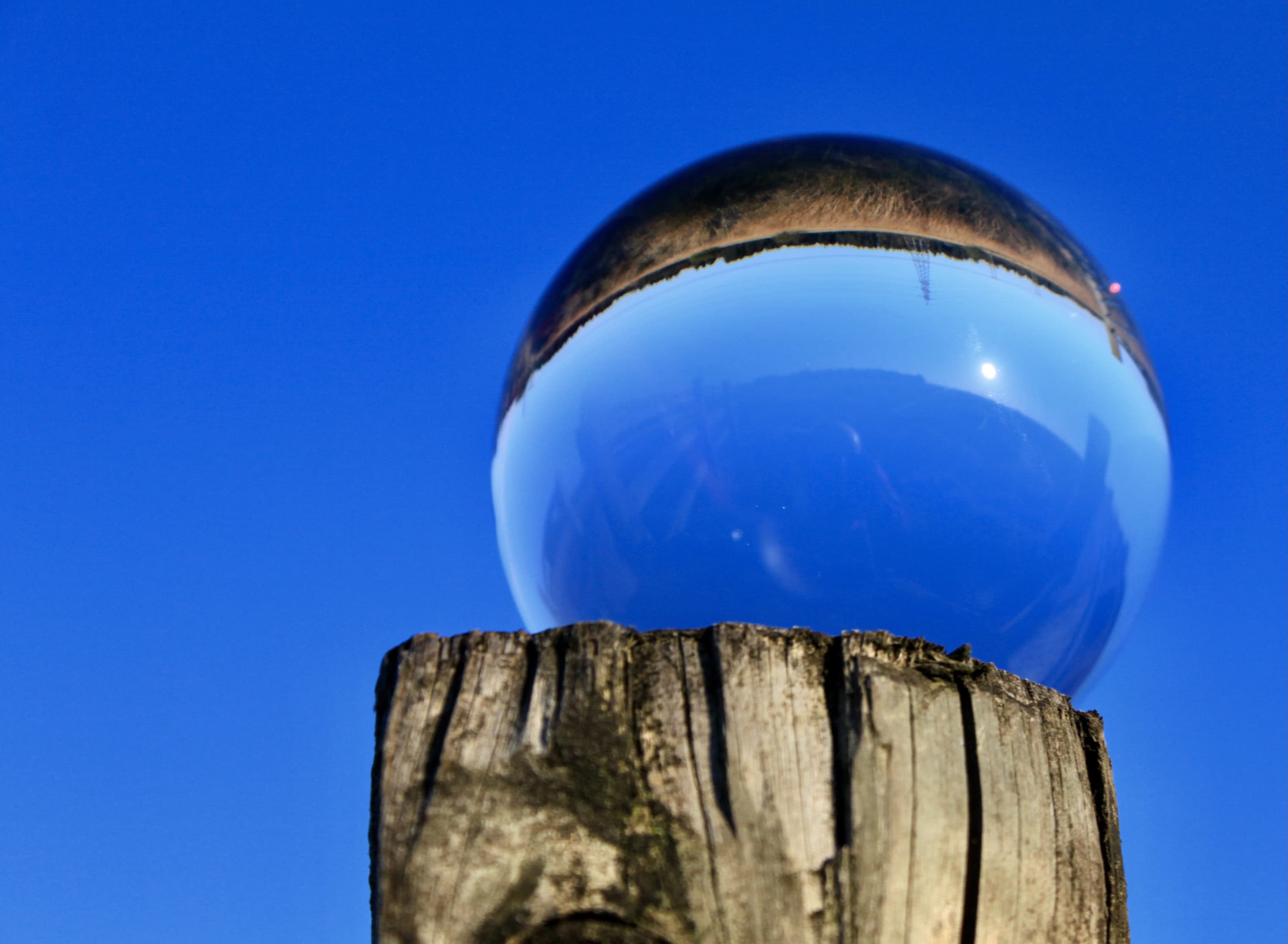 Blissful Blue — Sunday Stills
