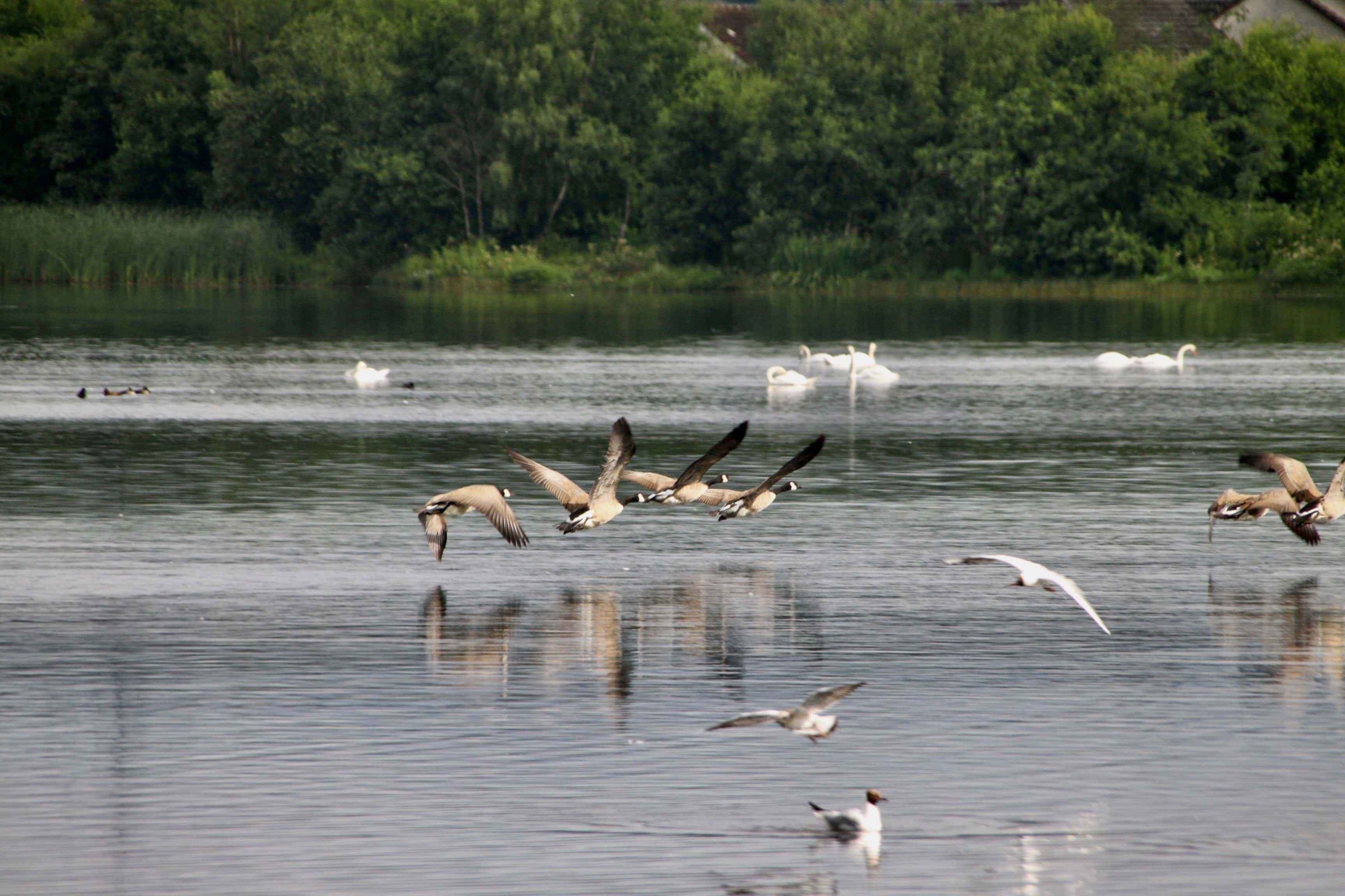 Take Off — Water Water Everywhere #186