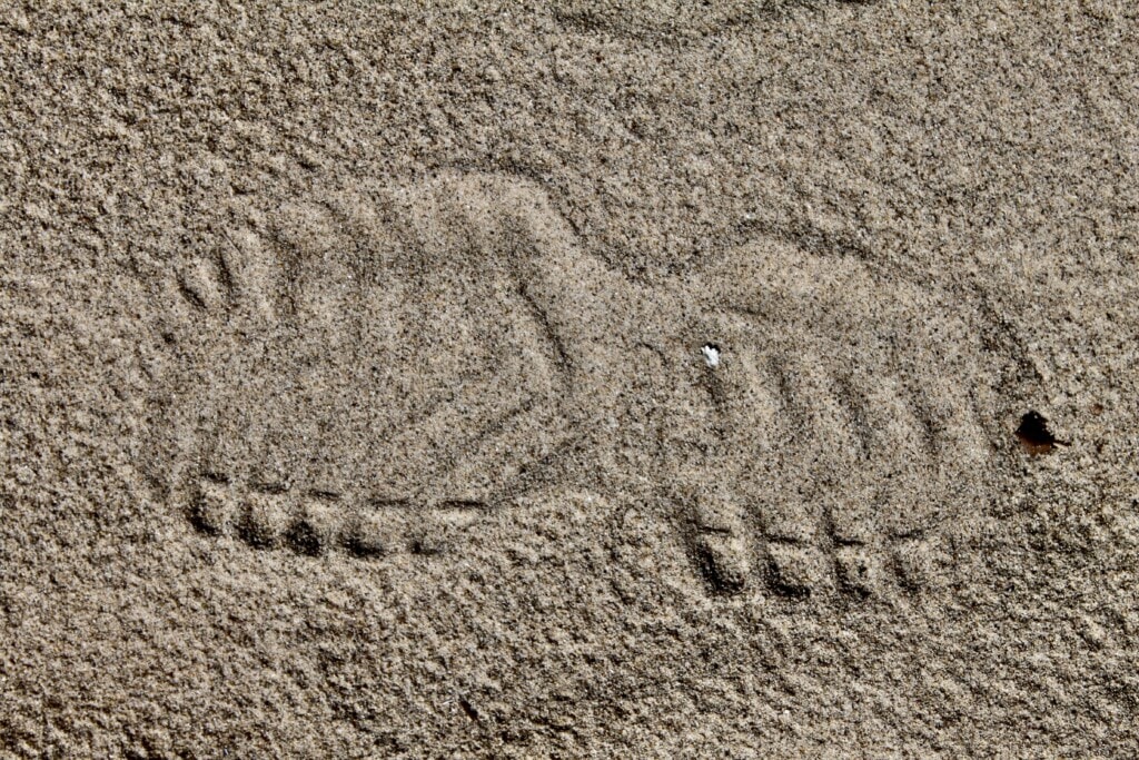 Croc imprint on a beach