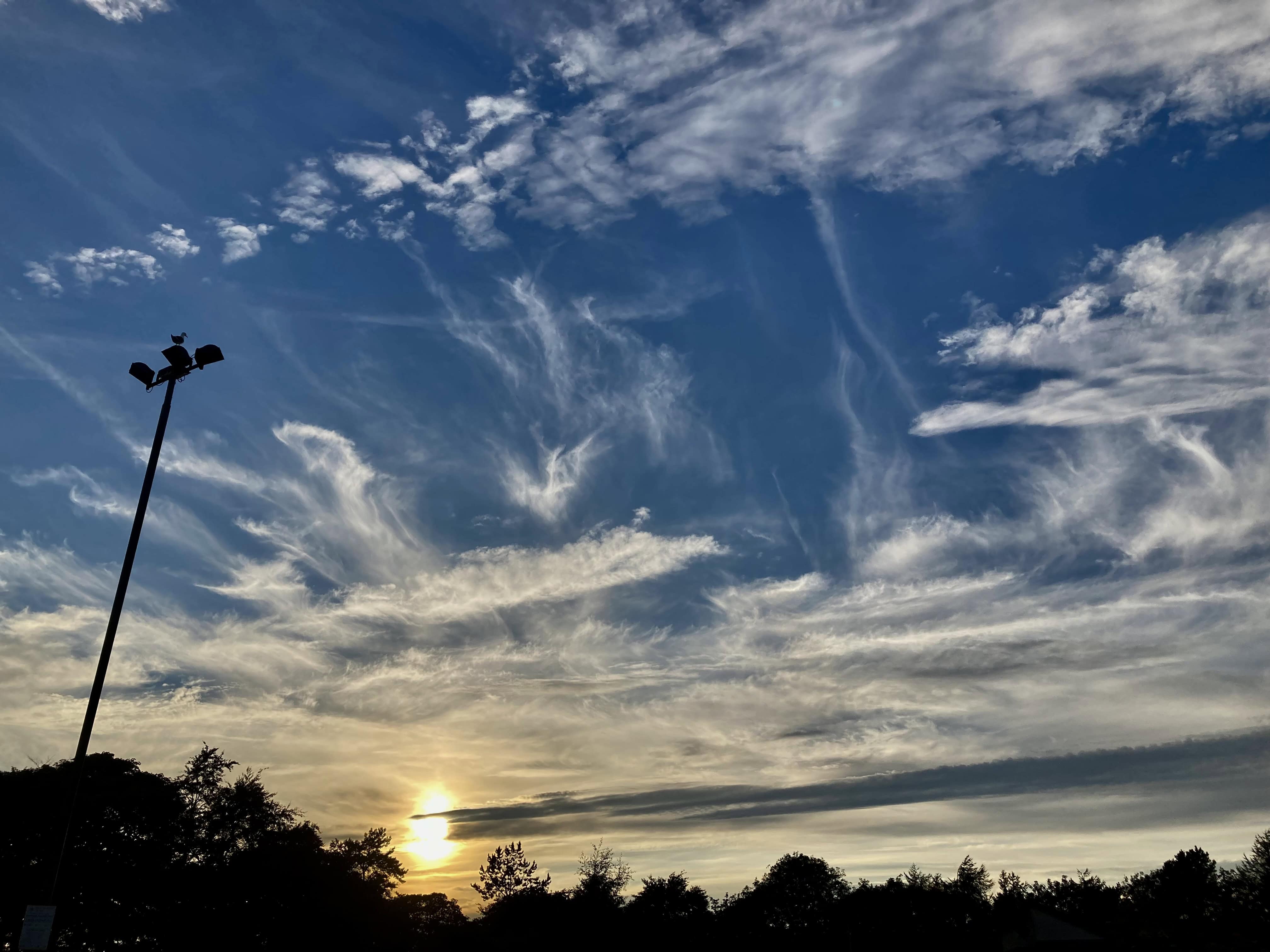 Evenig Cirrus — Weekend Sky #115