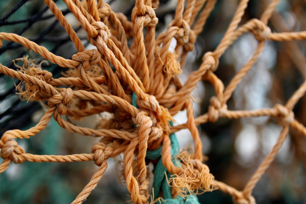 Part of a lobster post