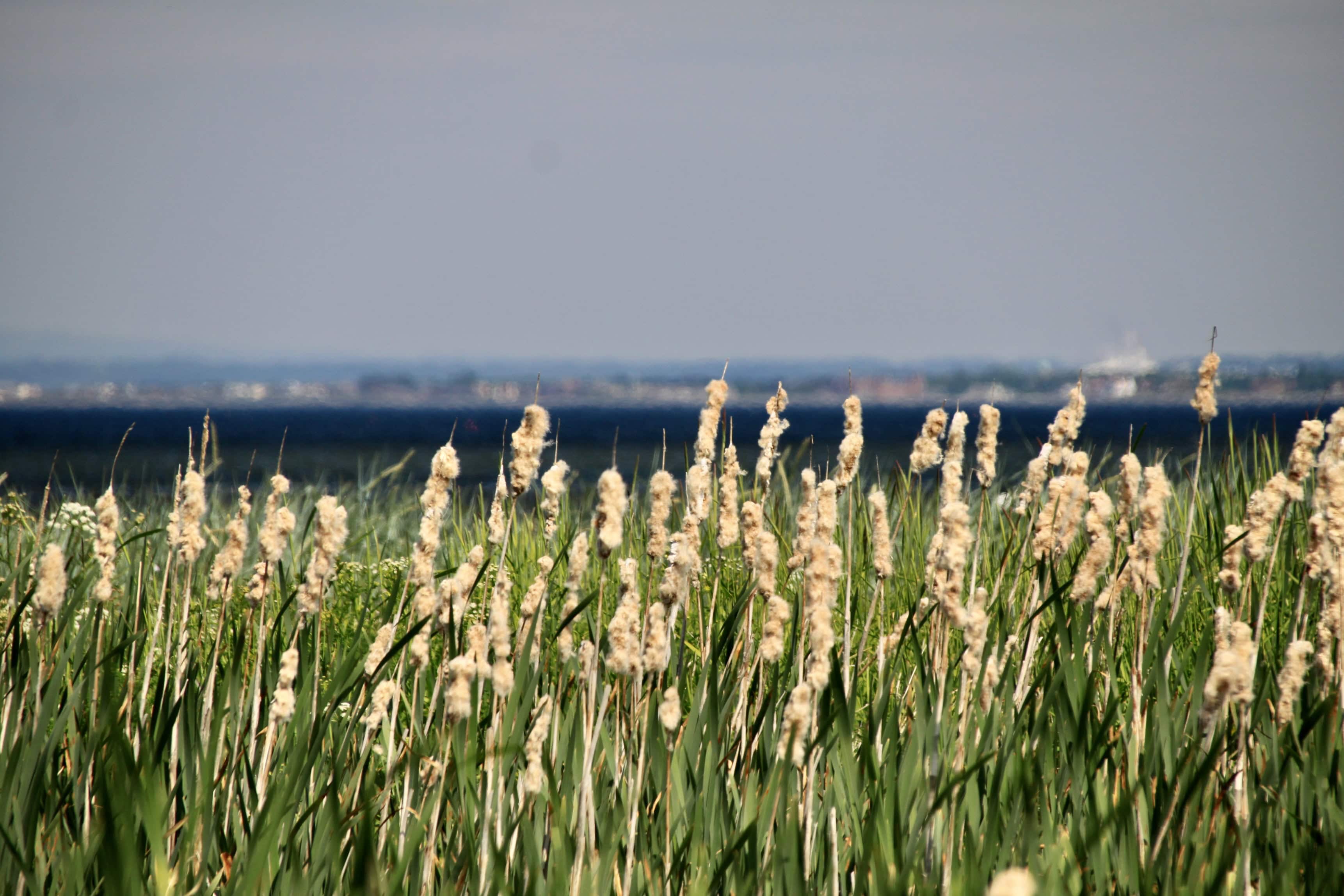 Wordless Wednesday Sep 20
