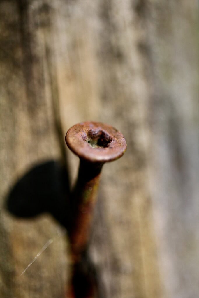 Rusty nail in a post
