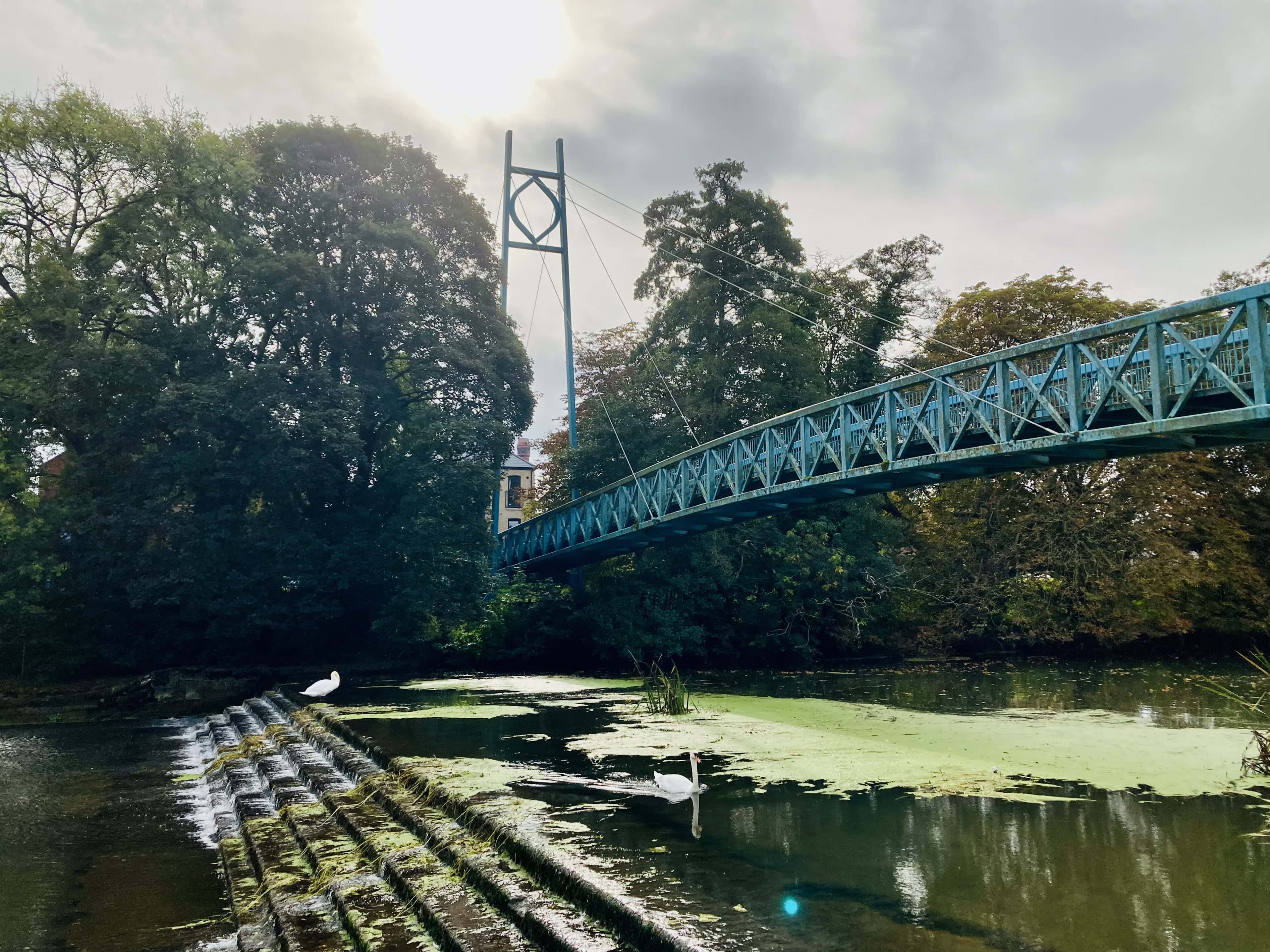 River Stour — Water Water Everywhere #195