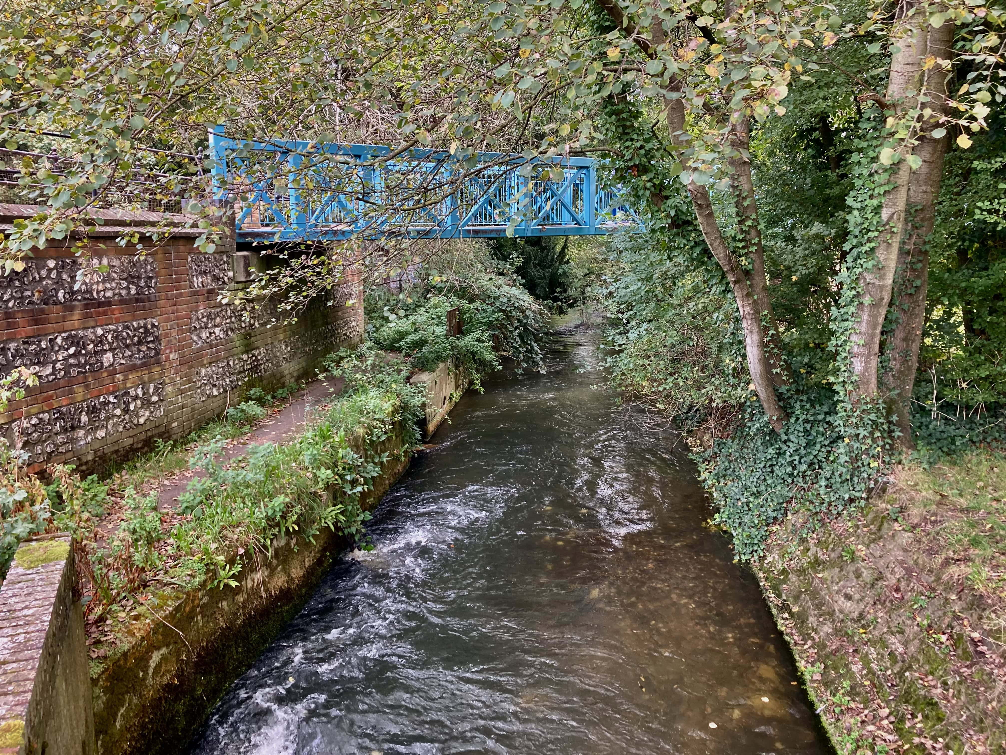 River Stour — Water Water Everywhere #199