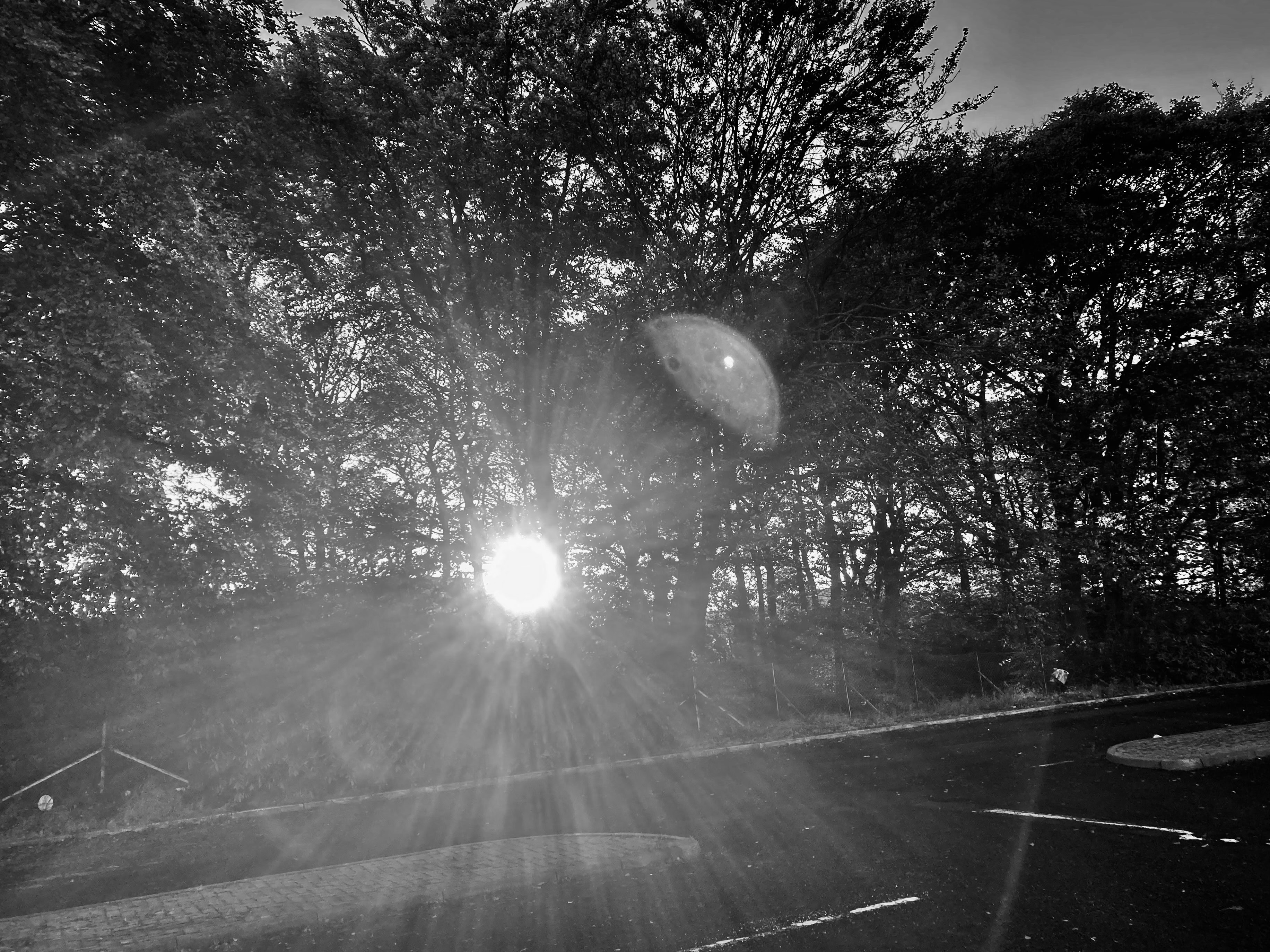 Silent Sunday Oct 29