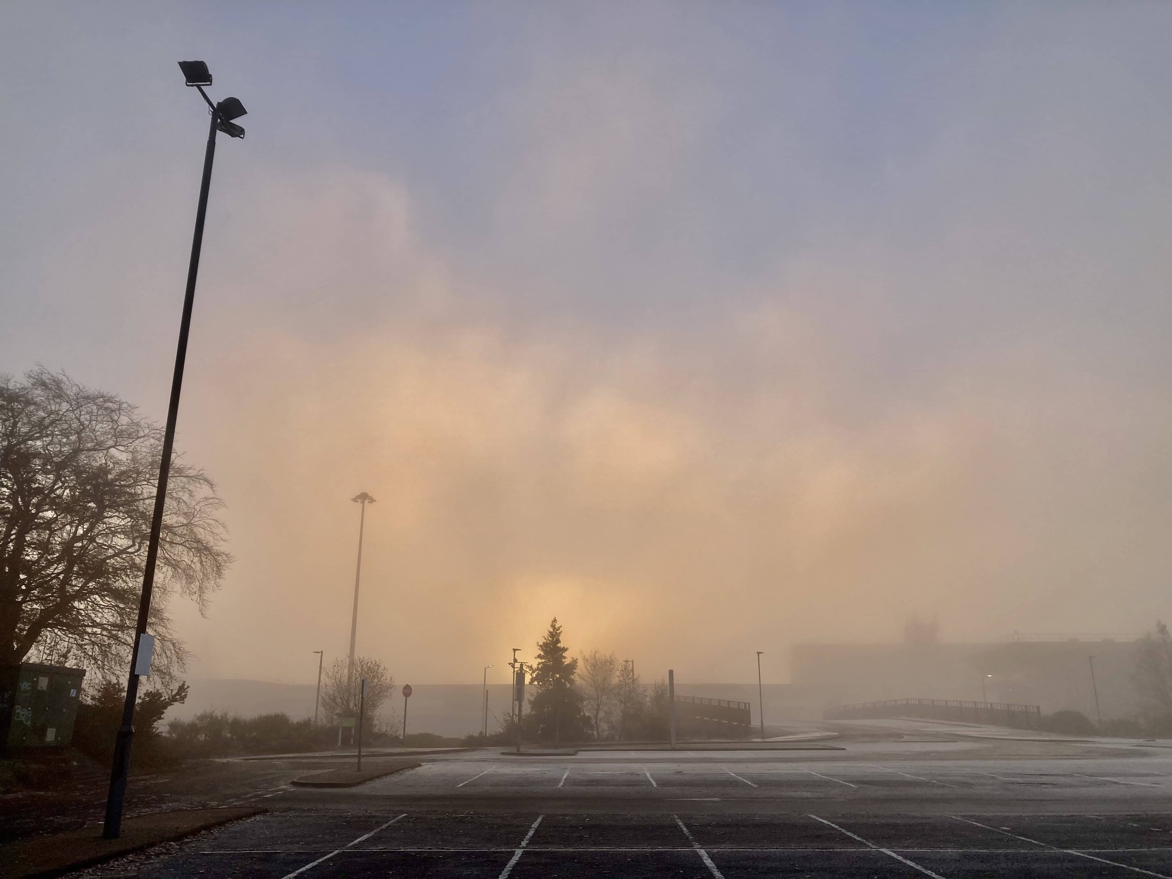 Shining Through the Mist– Sunny Sunday