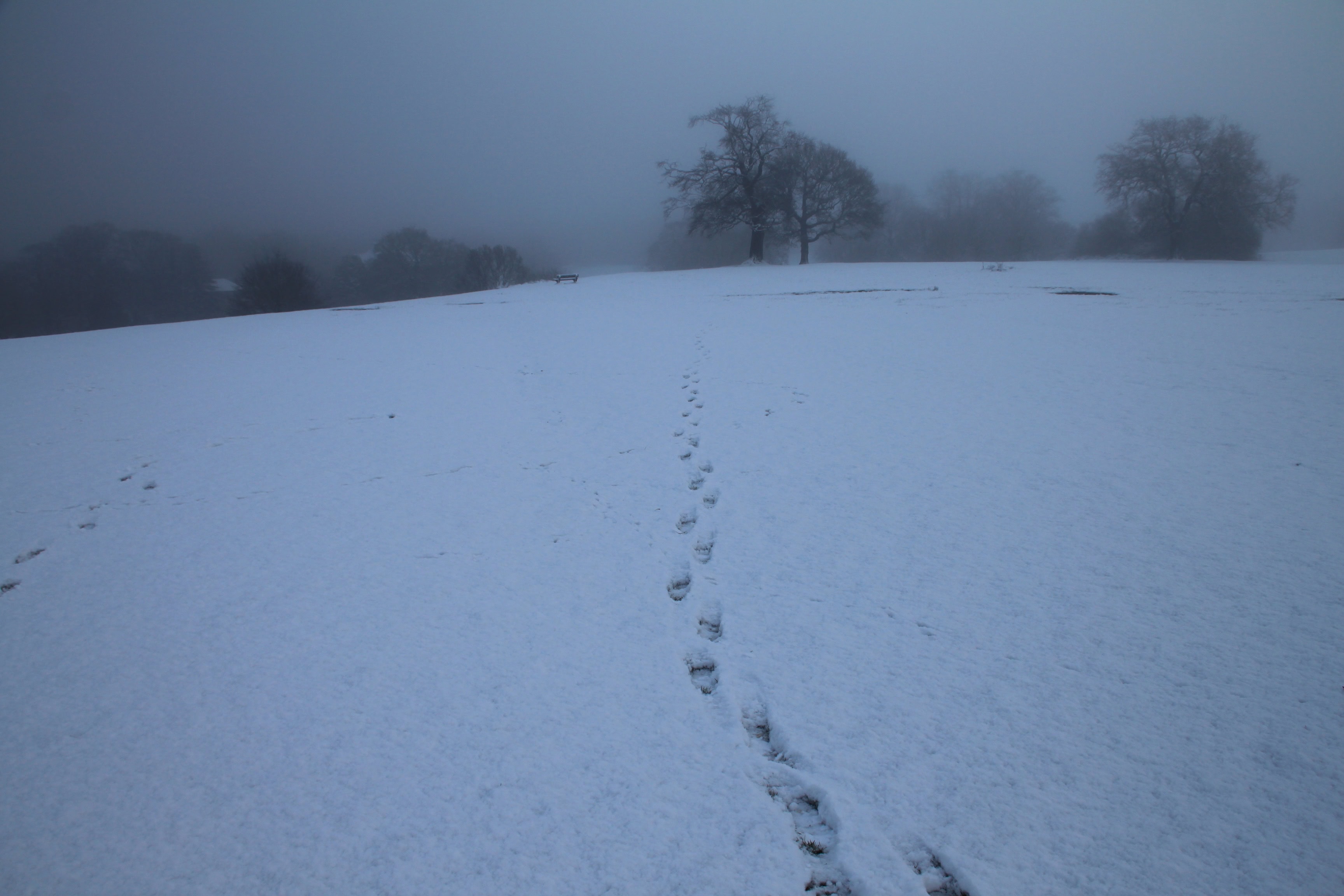 A Cold Walk — RDP