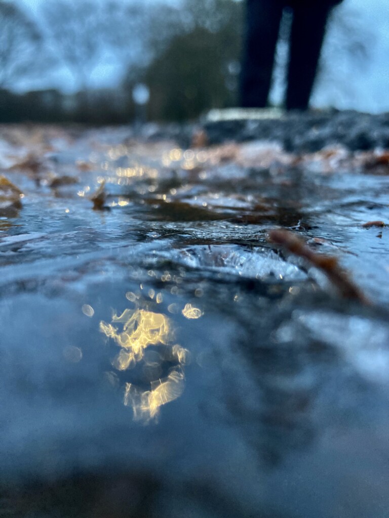 Icy puddle from ground level 