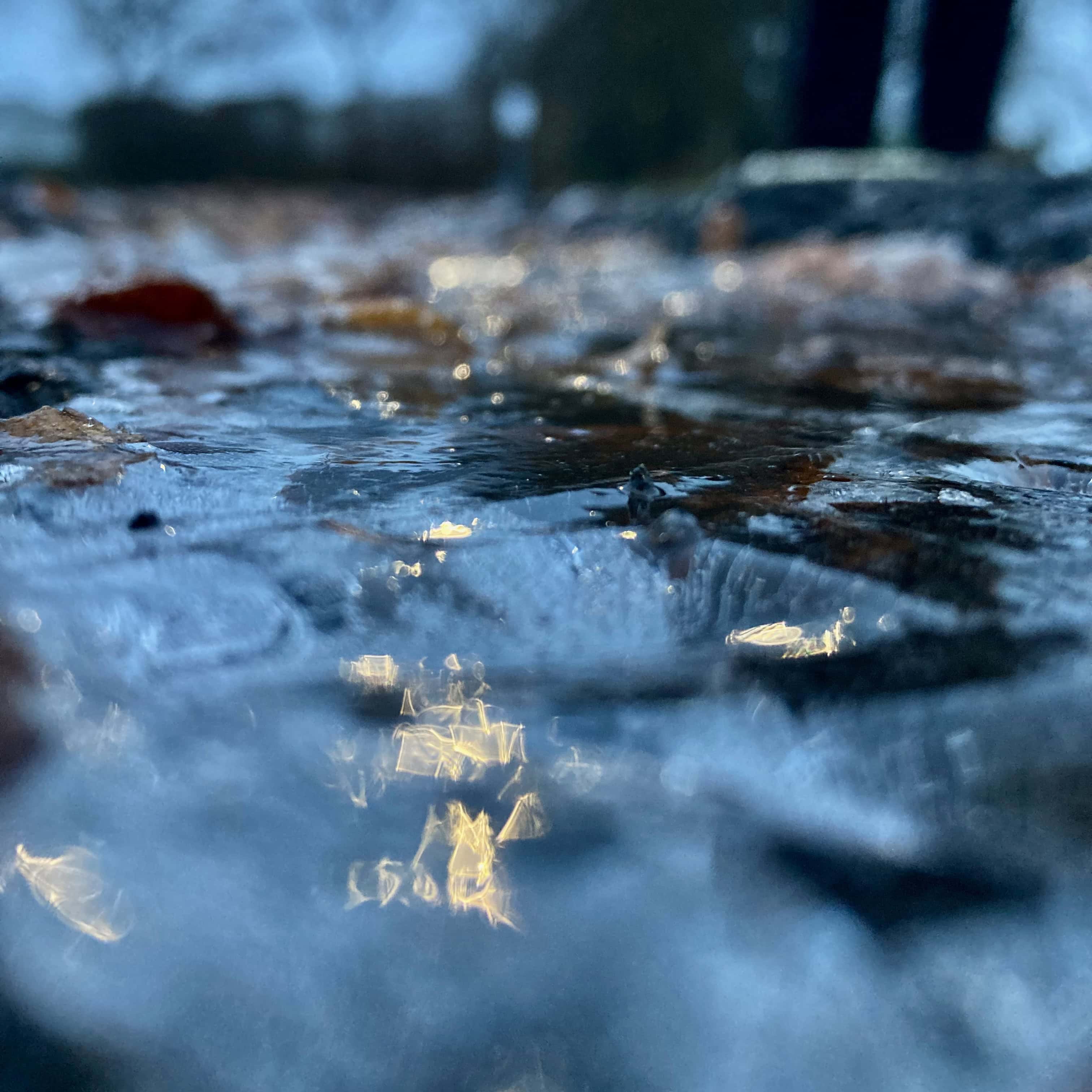Capturing the Essence of Winter: Icy Puddle Photography #5 for Water Water Everywhere #205