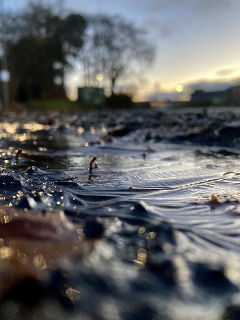 Icy puddle from ground level
