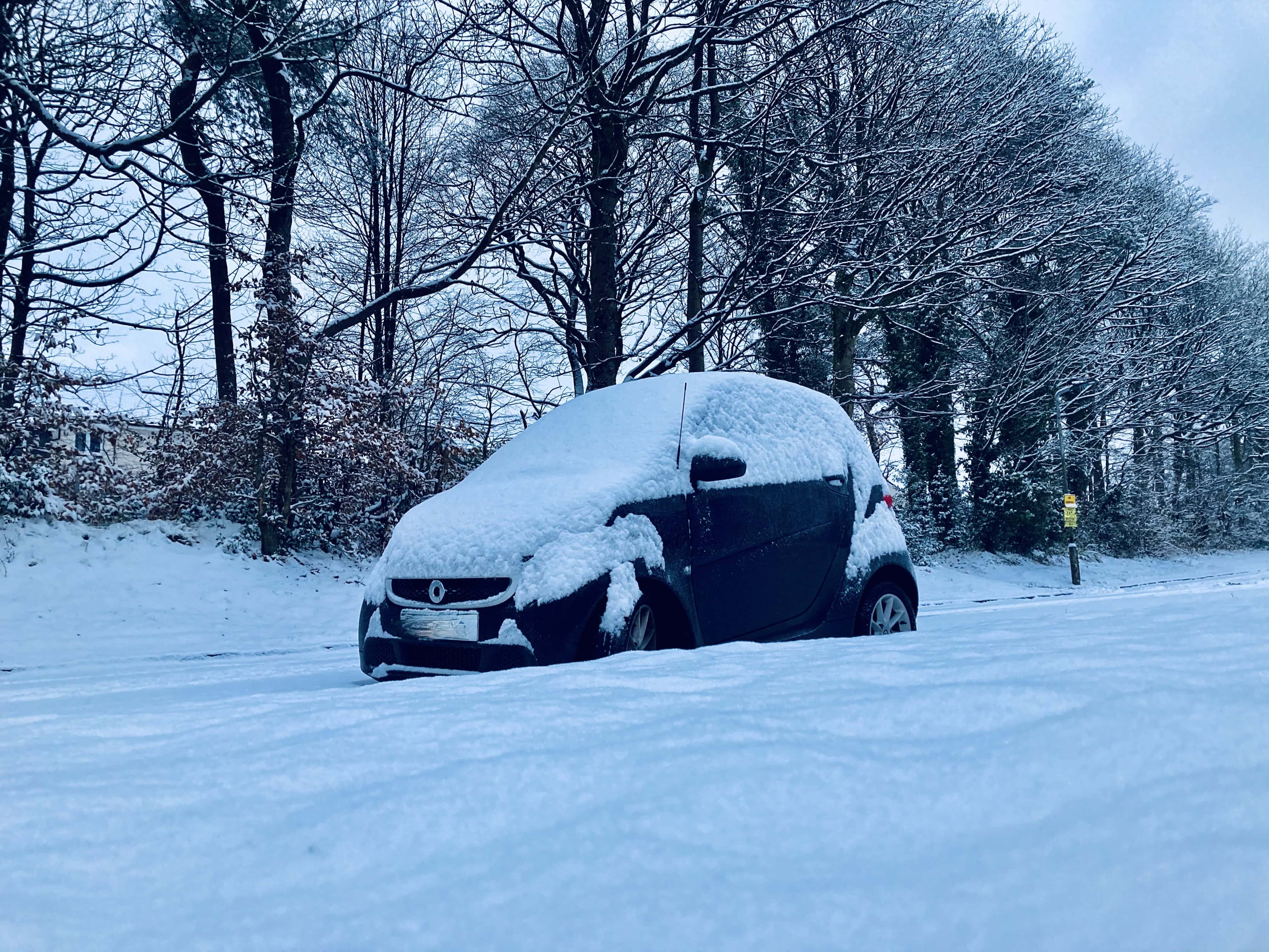Snow Blankets Grogu; Winter’s Touch Revealed