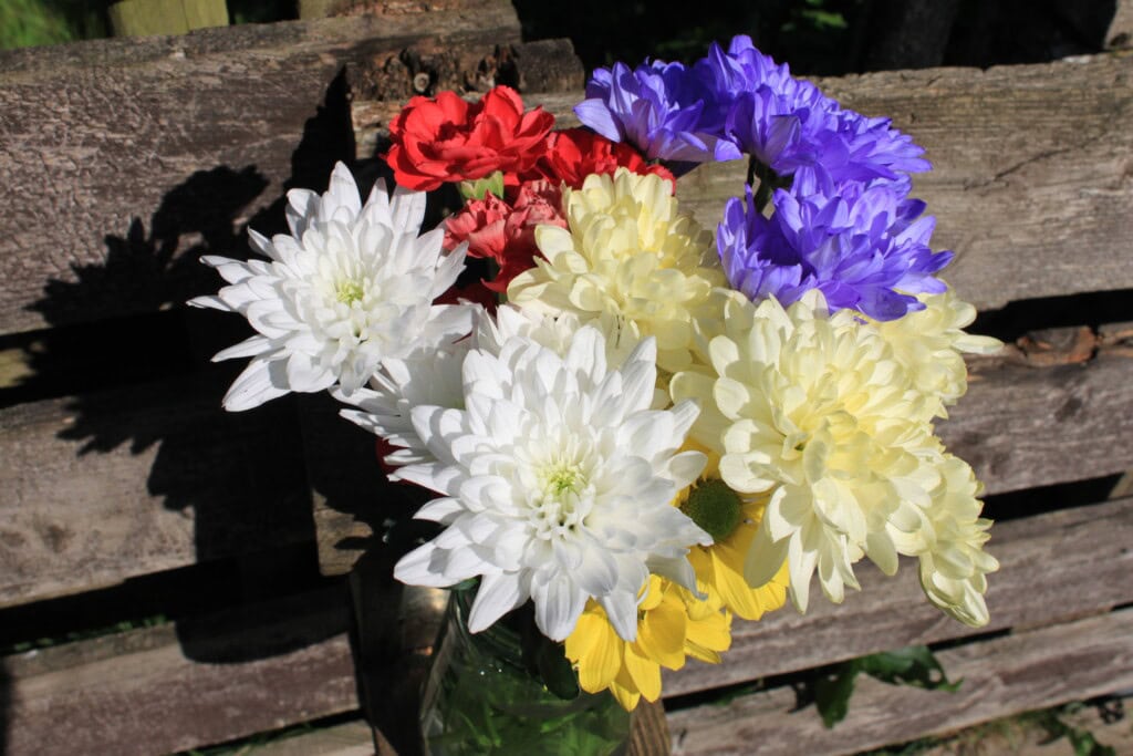 Chrysanthemum bouquet