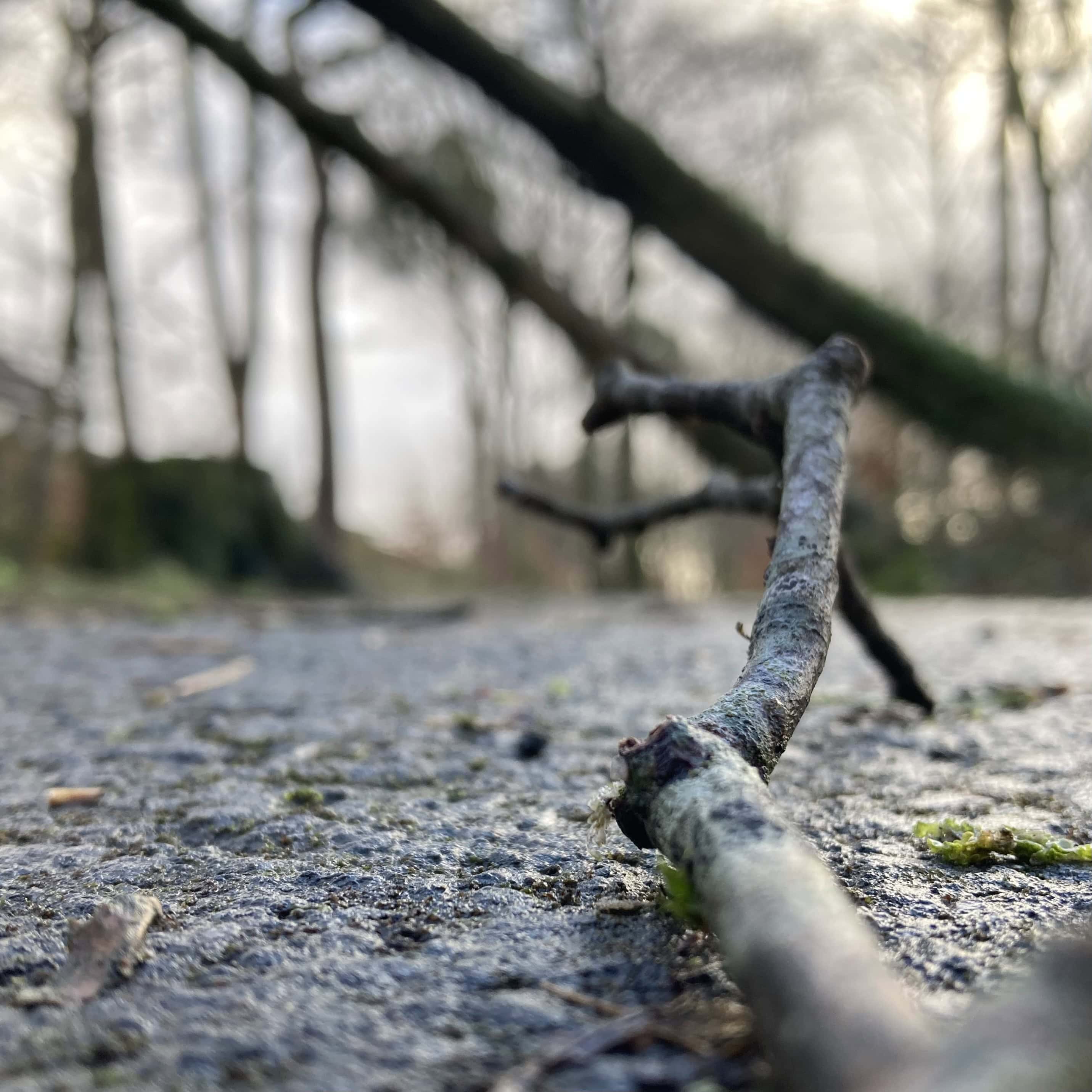 Storm Damage — Cellpic Sunday