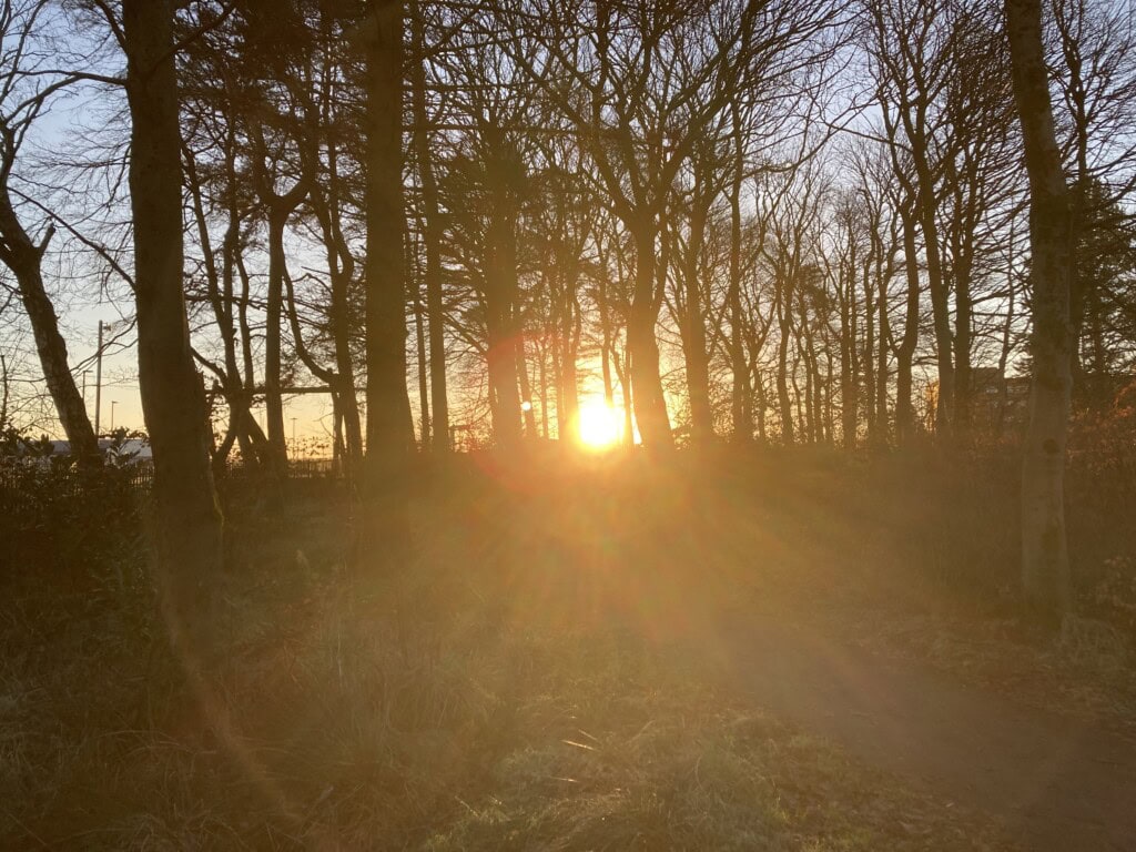 Dawn