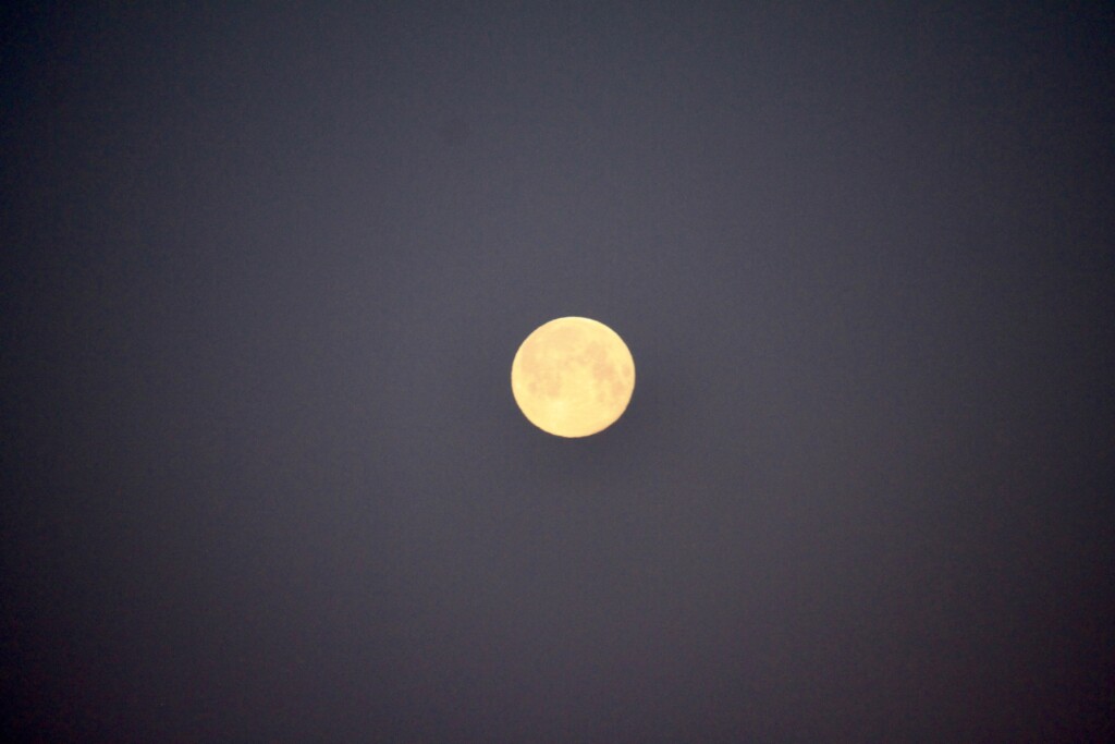 Orange moon