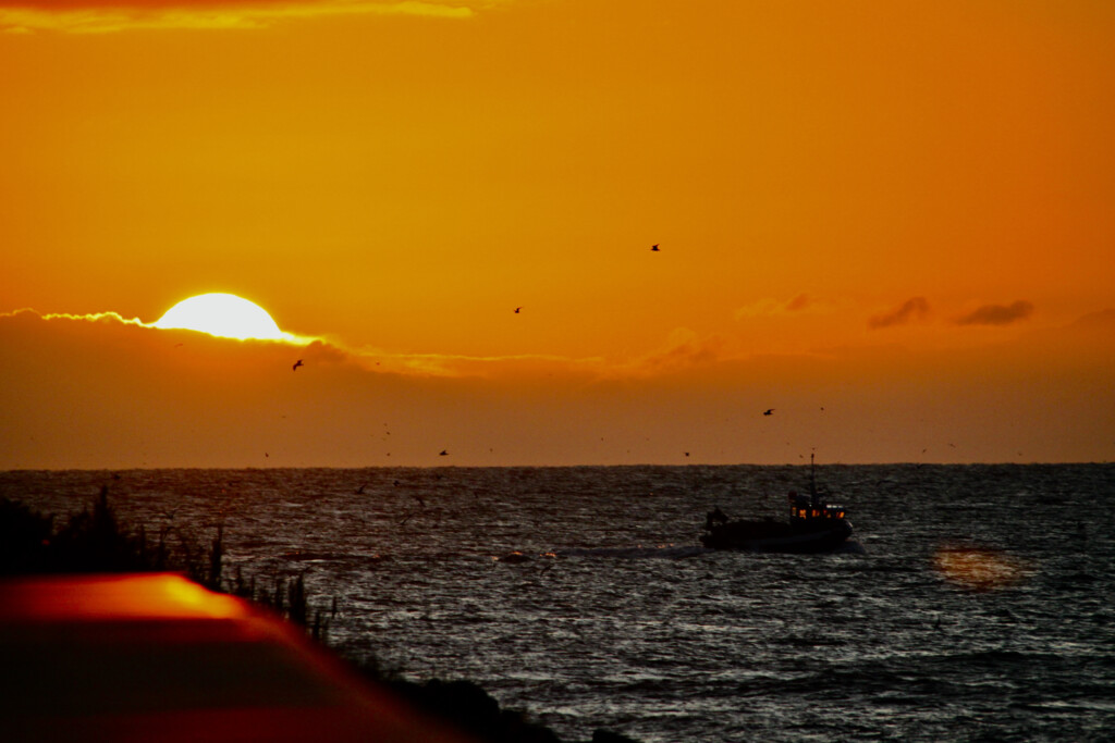Fishing boat heading out for a days work
