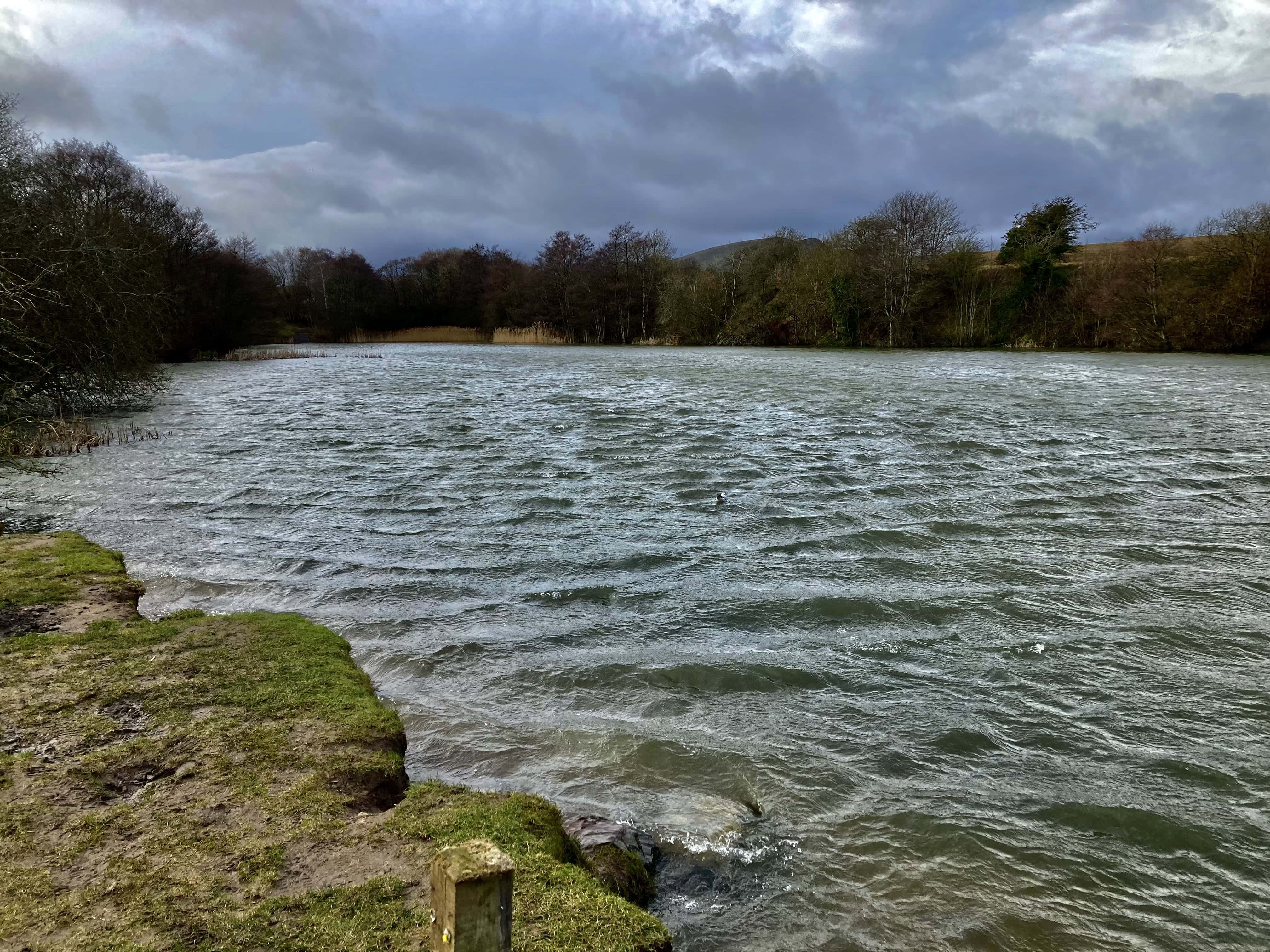 Straiton Pond #7 for Water Water Everywhere #216