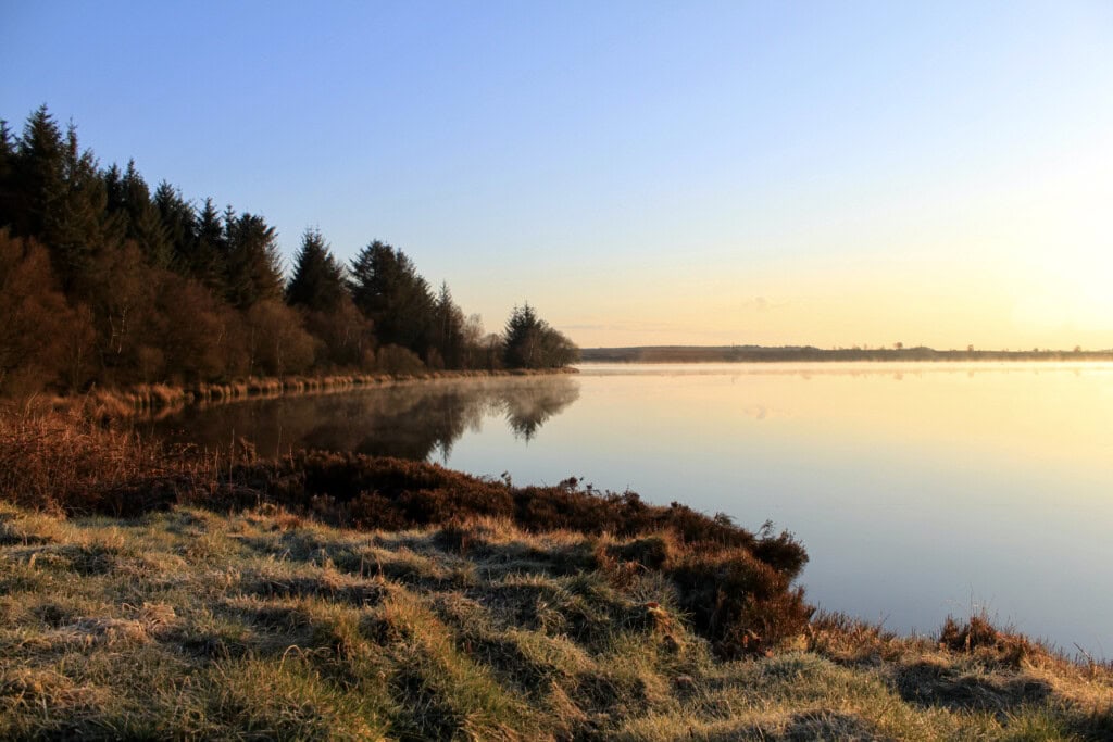 Fannyside Lochs