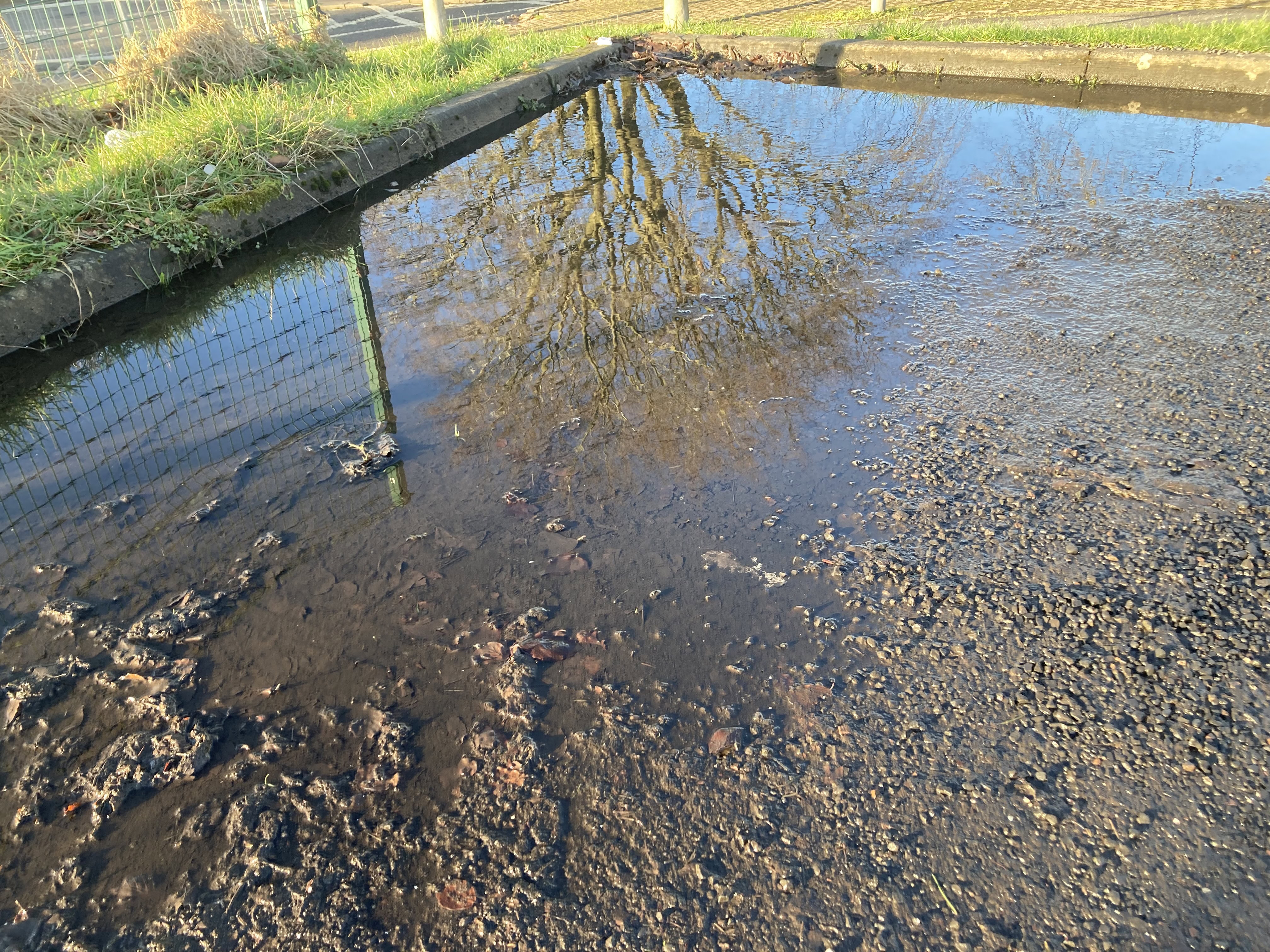 Puddle Reflections for Water Water Everywhere #219